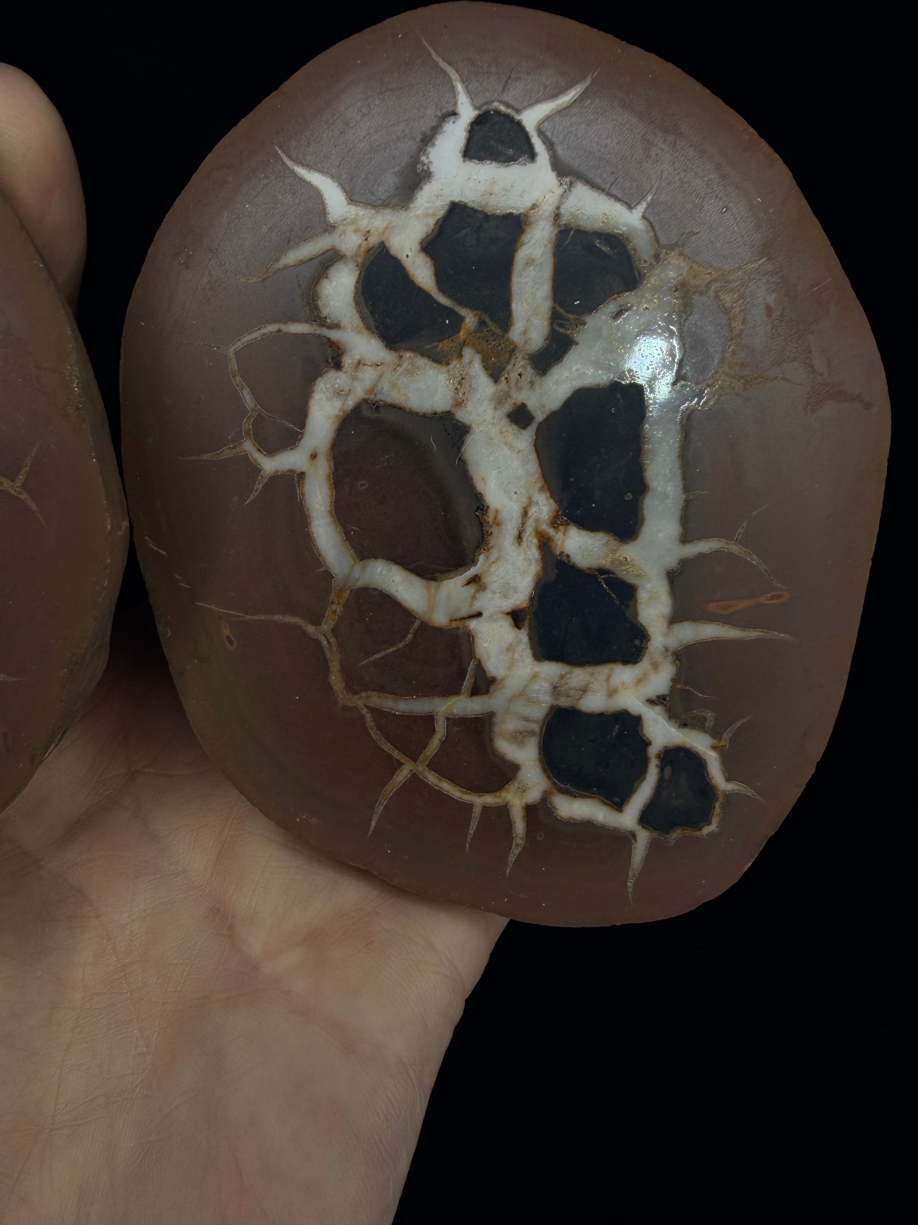 Moroccan Septarian nodule, a.k.a. lightning stone