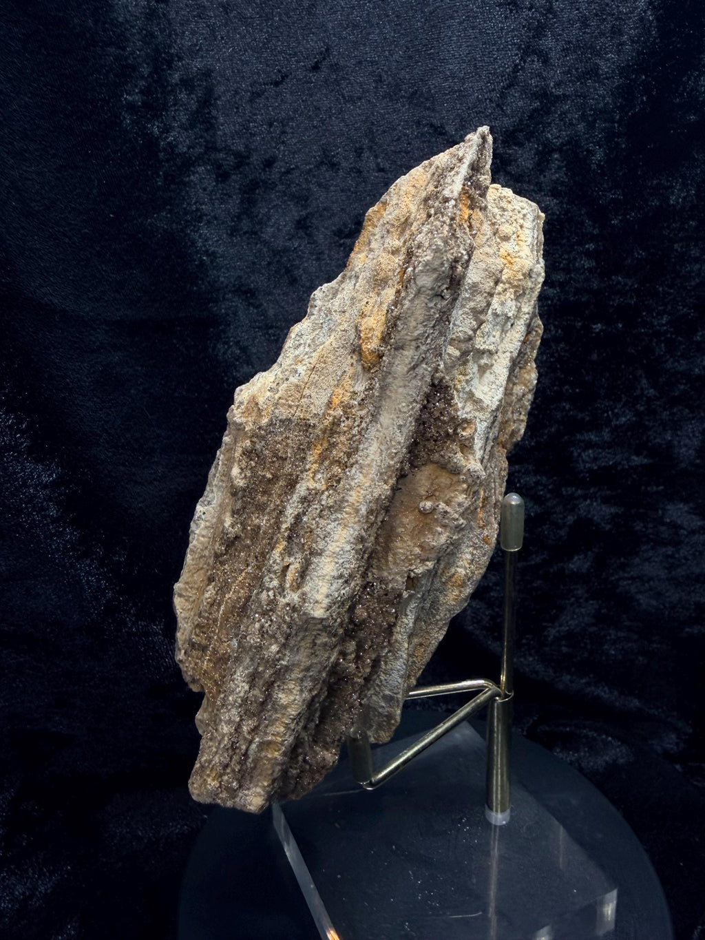 Brilliant Alabama petrified wood with micro druse.