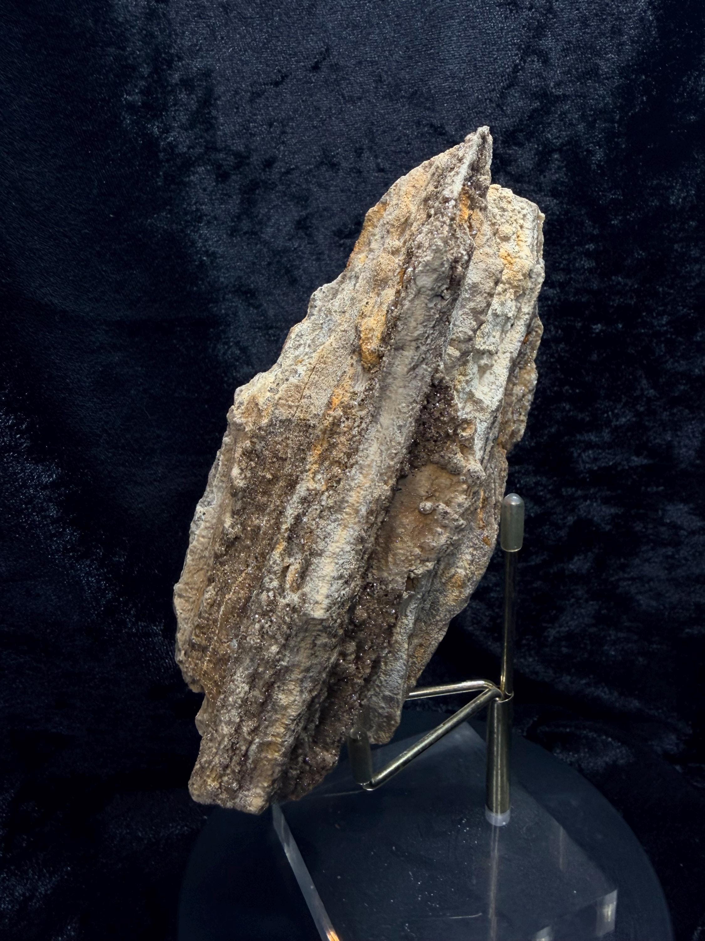 Brilliant Alabama petrified wood with micro druse.