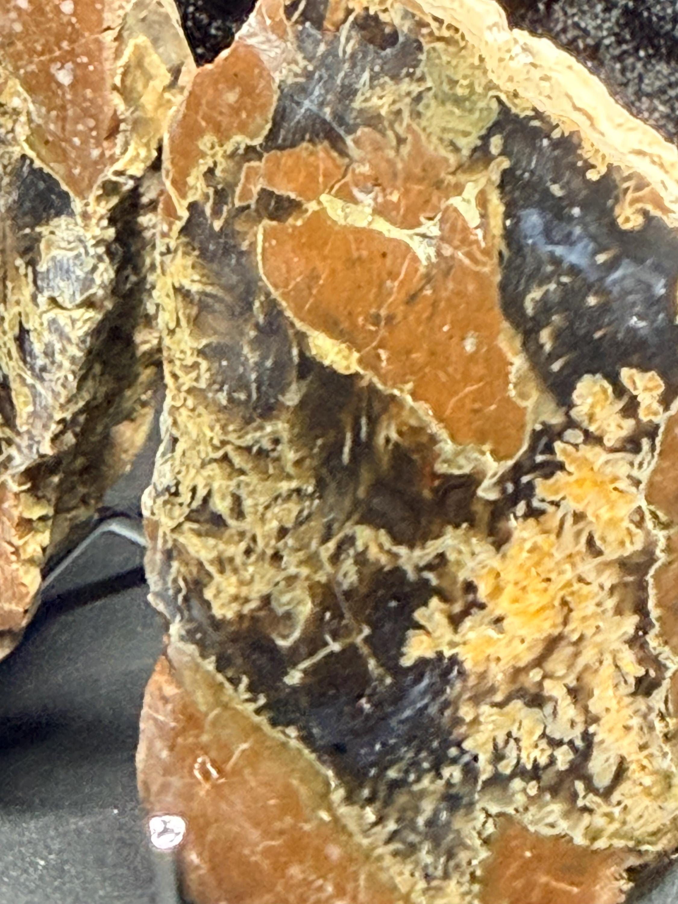 Polished Thunder egg matched pair