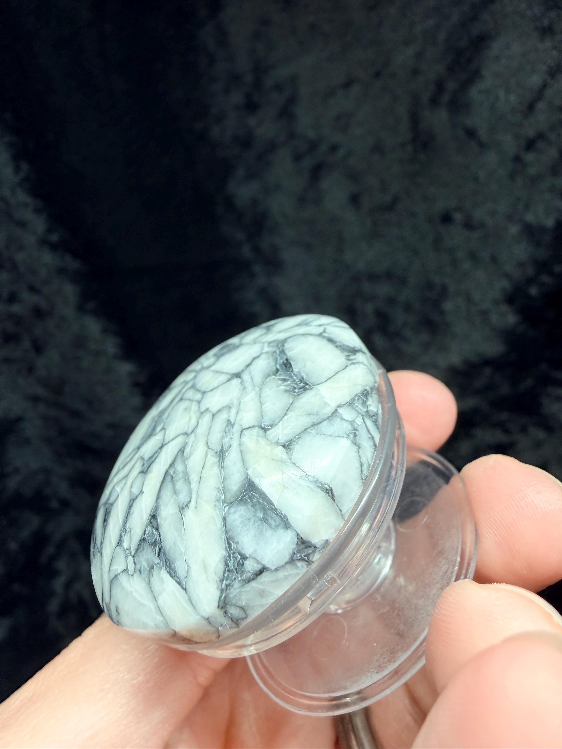 Rare Pinolith pop socket