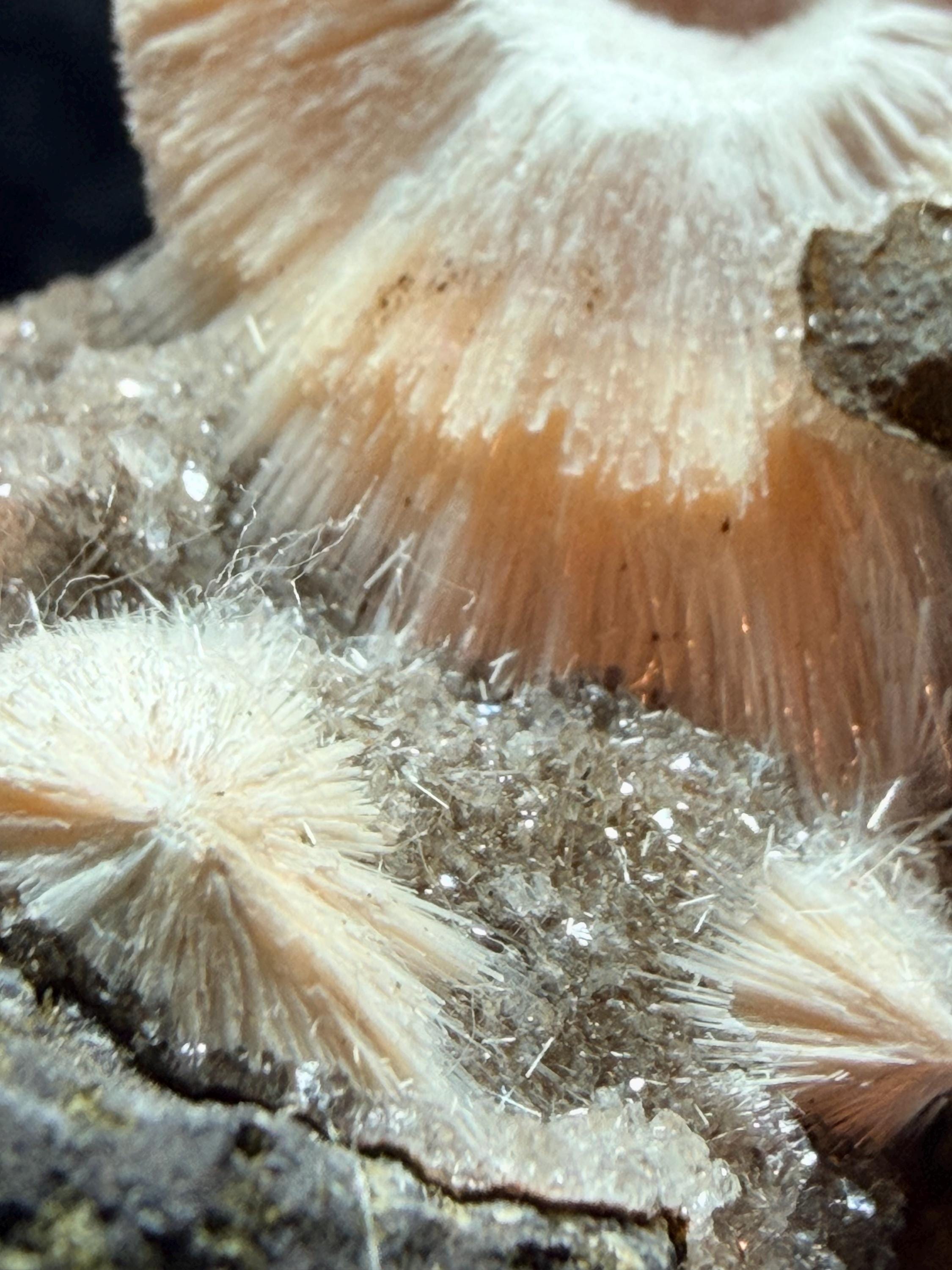 Thomsonite Specimen: Zeolite Mineral