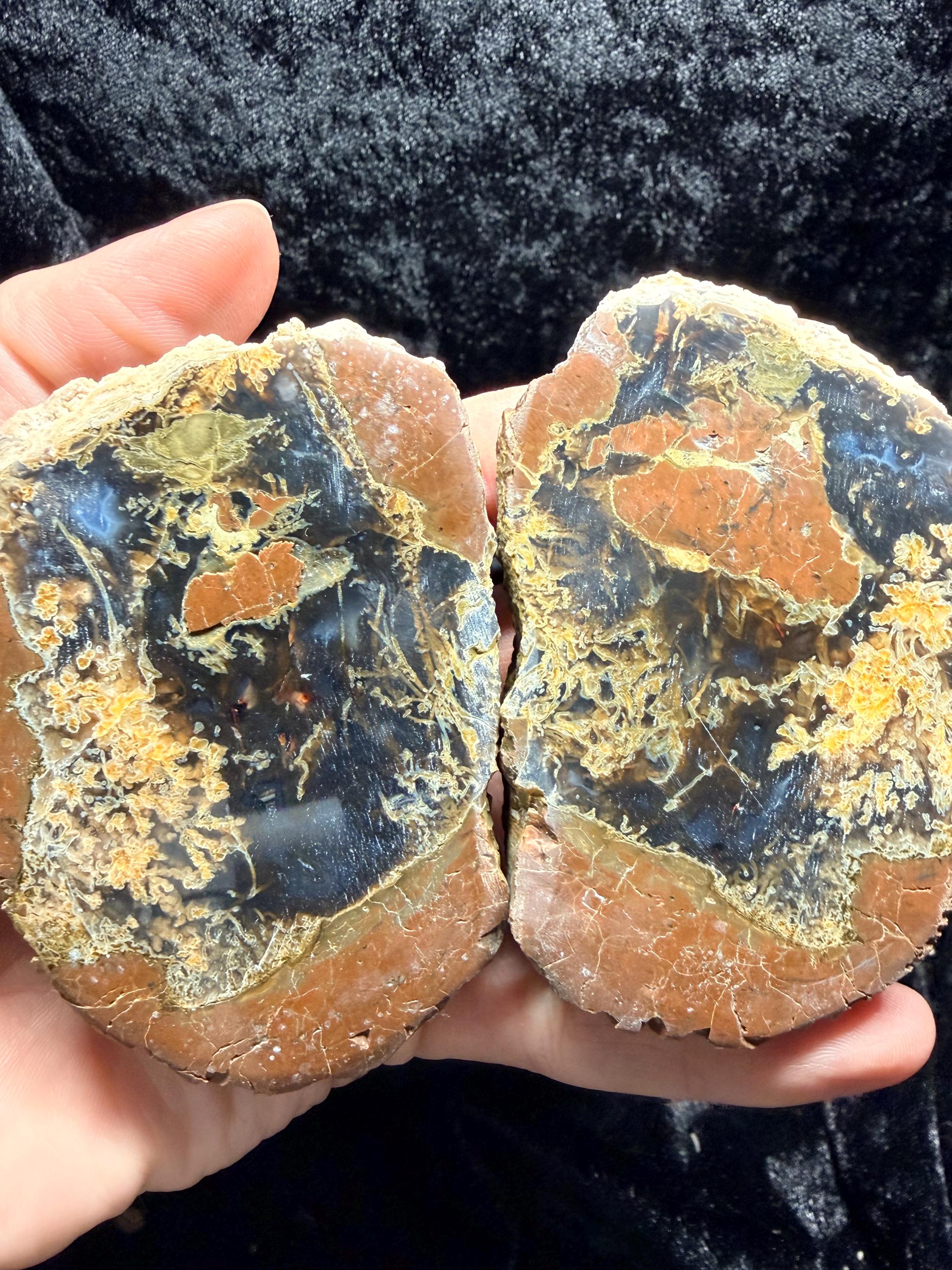 Polished Thunder egg matched pair