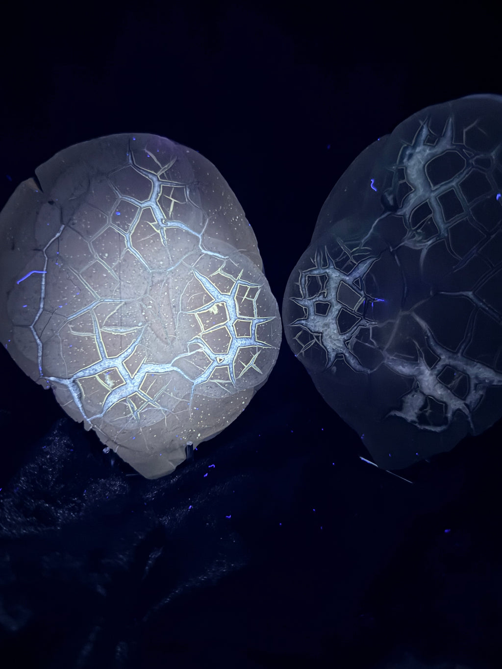 Polished Utah Septarian Nodule Matching Pair - 6.5" Cut Interlocking "Dragon Egg" Display Set (Repaired)