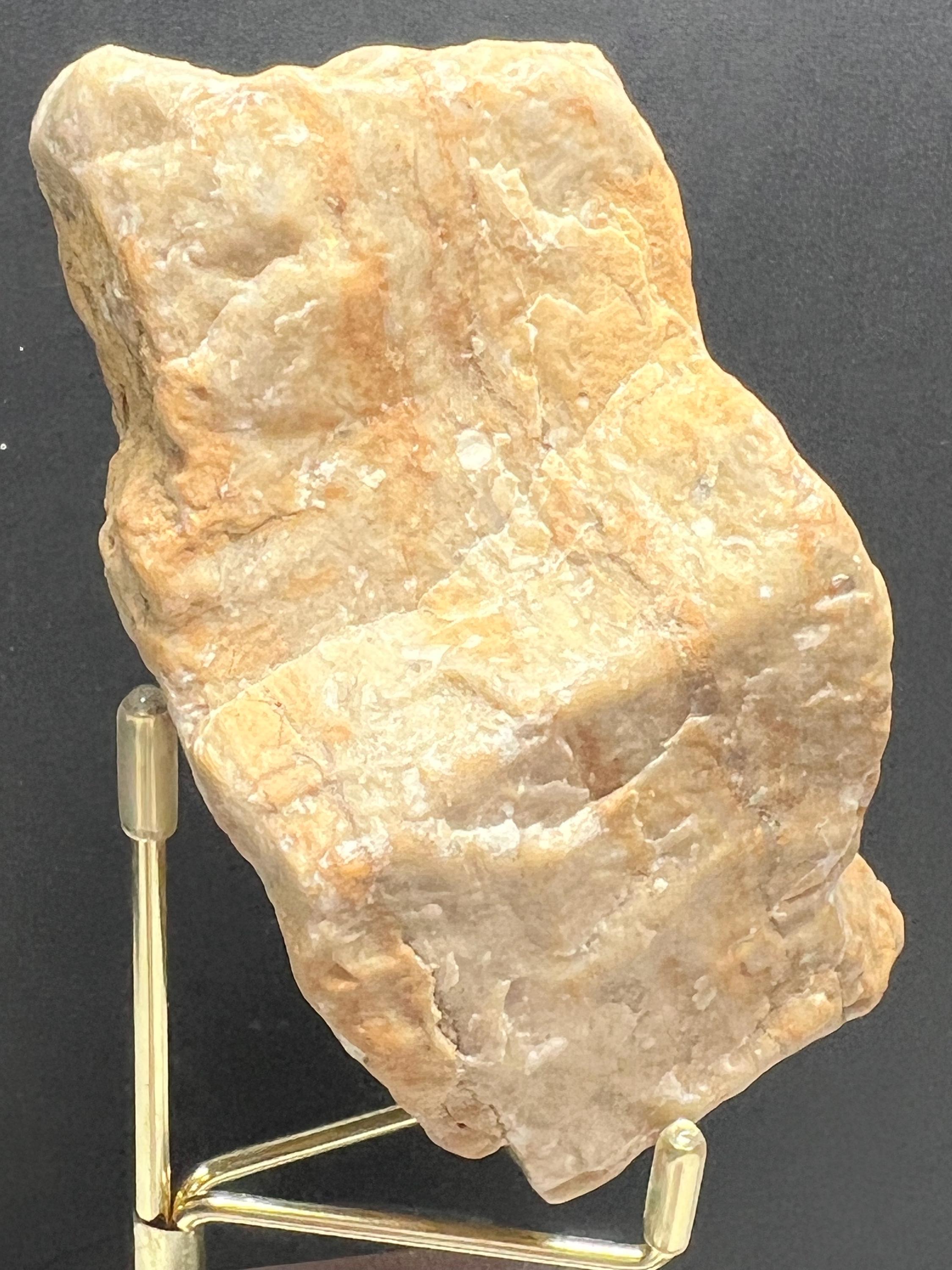 Fossils replaced by calcite in shale from Mississippi River.