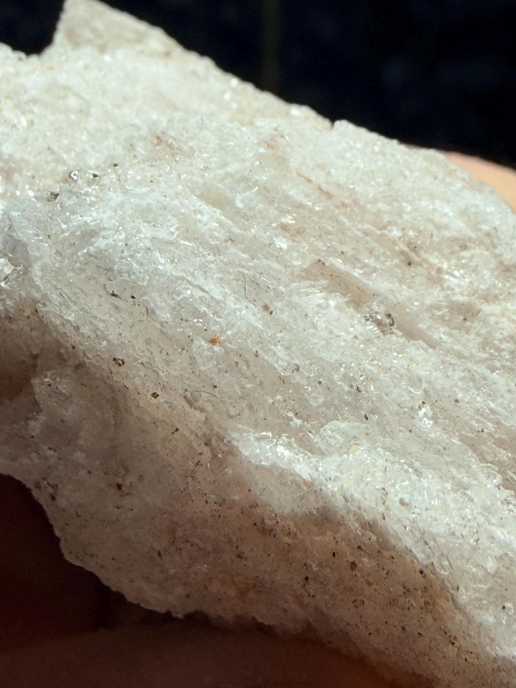 Ram’s Horn Selenite, Morocco.
