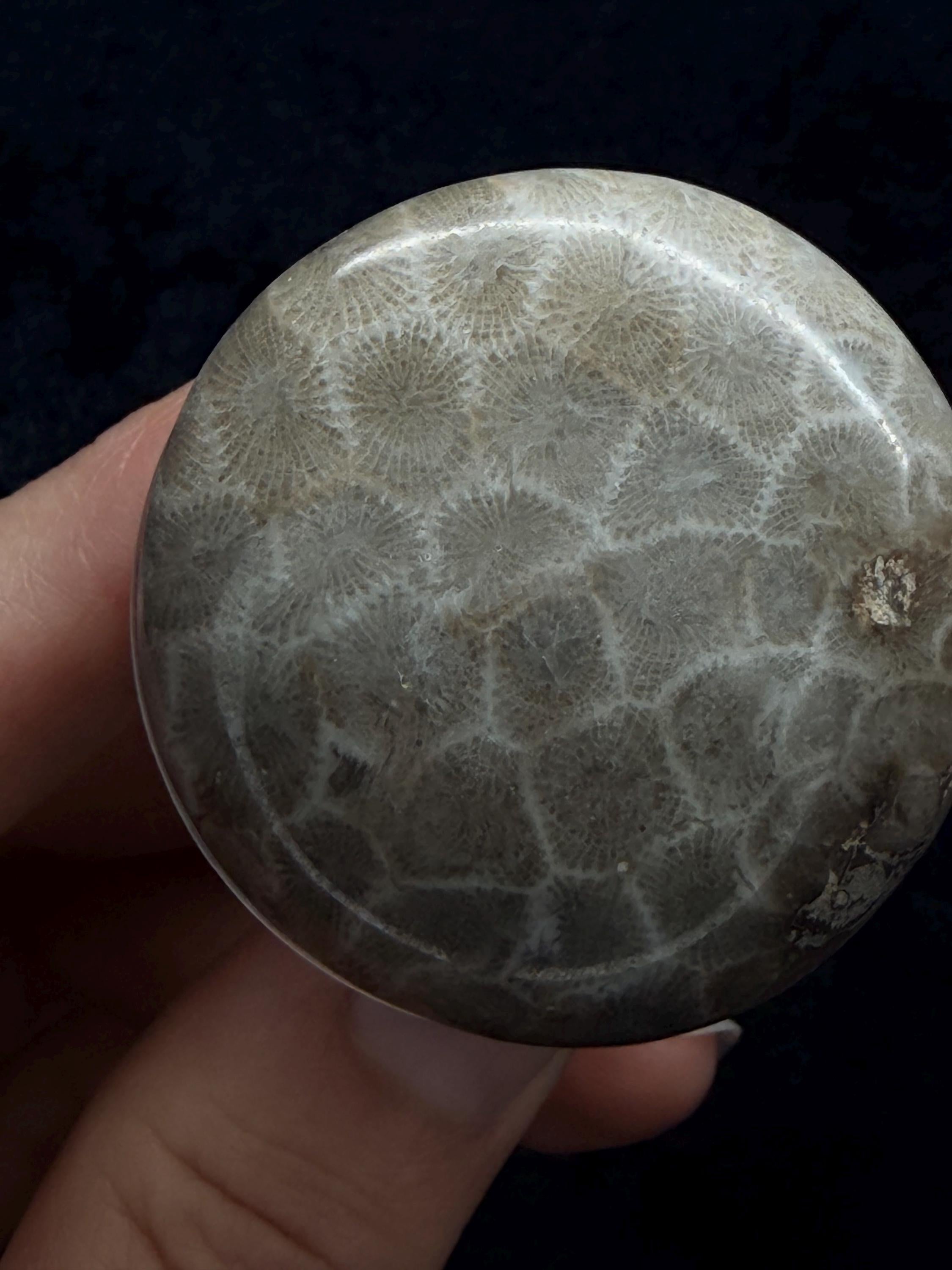 Petoskey stone pop socket