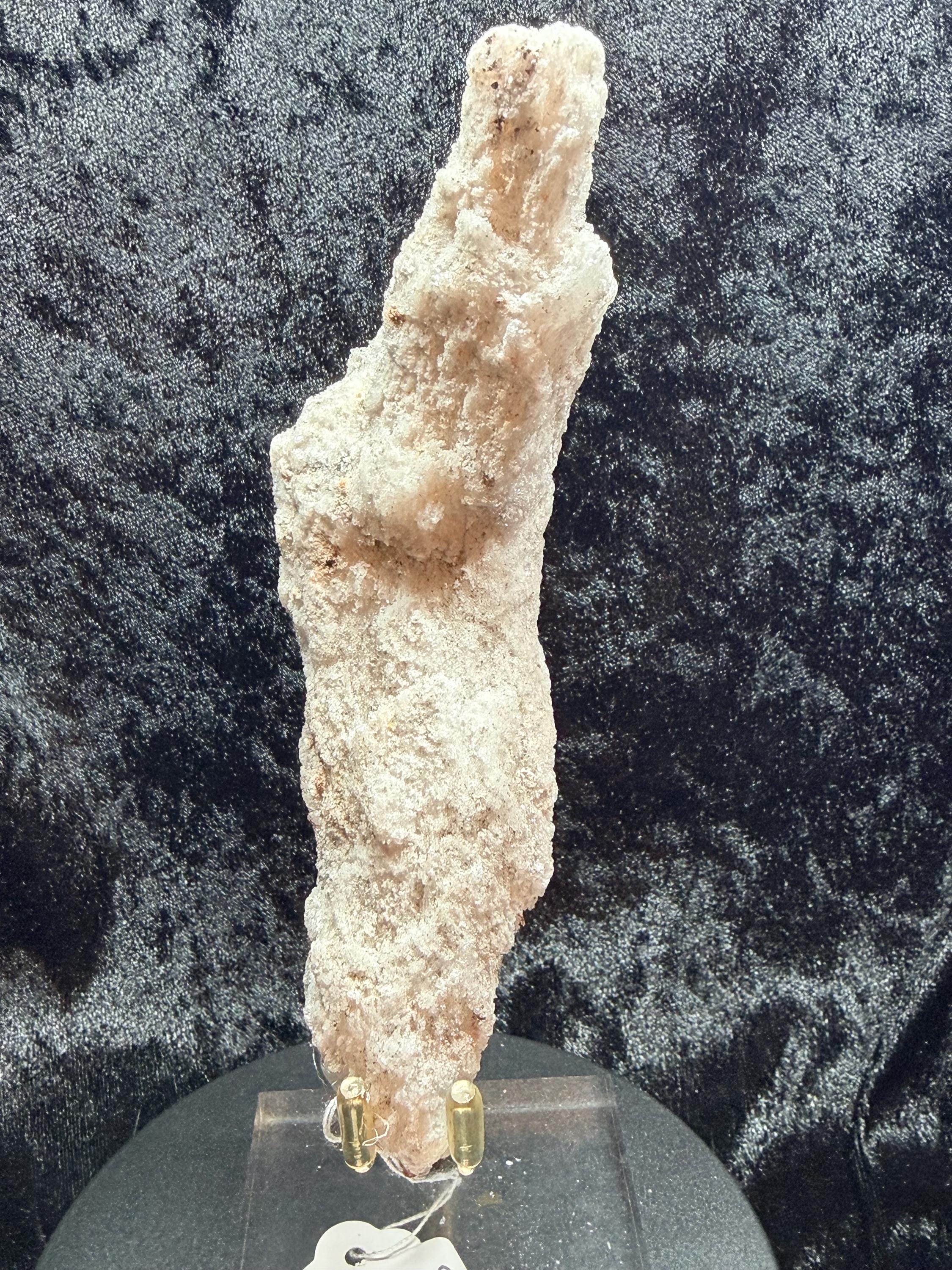 Ram’s Horn Selenite, Morocco.