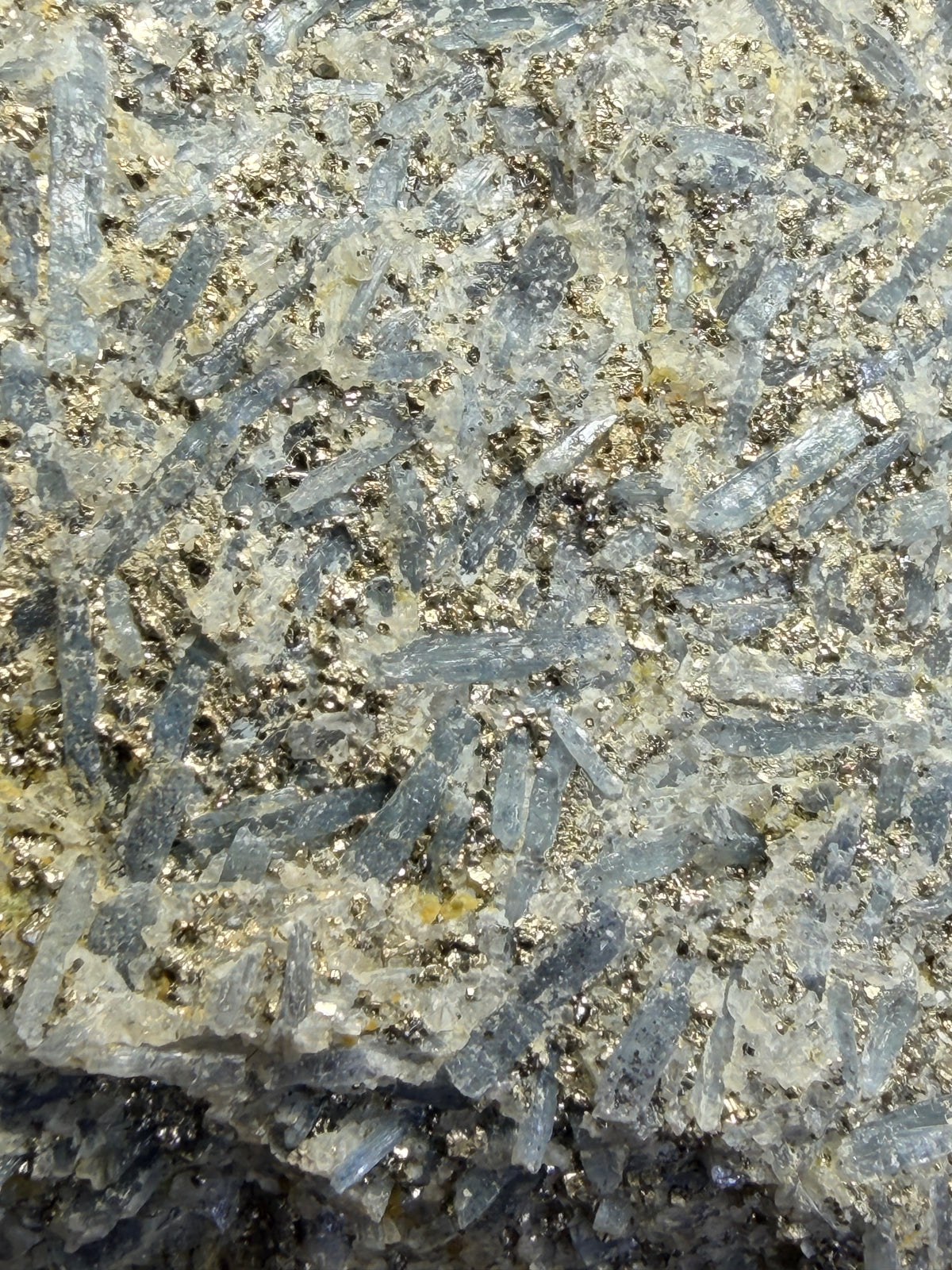 Massive 8.5" Blue Kyanite & Pyrite Cabinet Specimen - Raw Willis Mountain, VA Mineral Display (3.3 lbs)