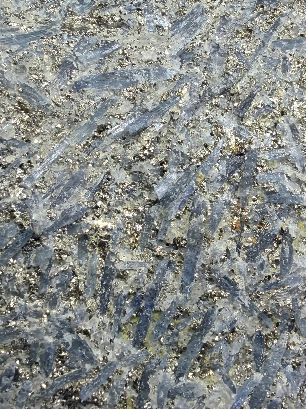 Massive 8.5" Blue Kyanite & Pyrite Cabinet Specimen - Raw Willis Mountain, VA Mineral Display (3.3 lbs)