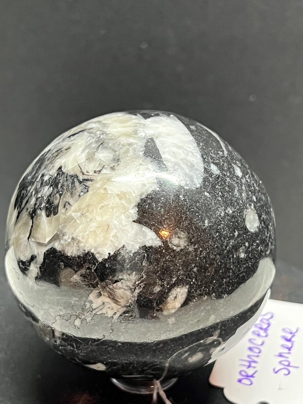 Orthoceras Fossil Sphere, Polished Limestone Display Specimen