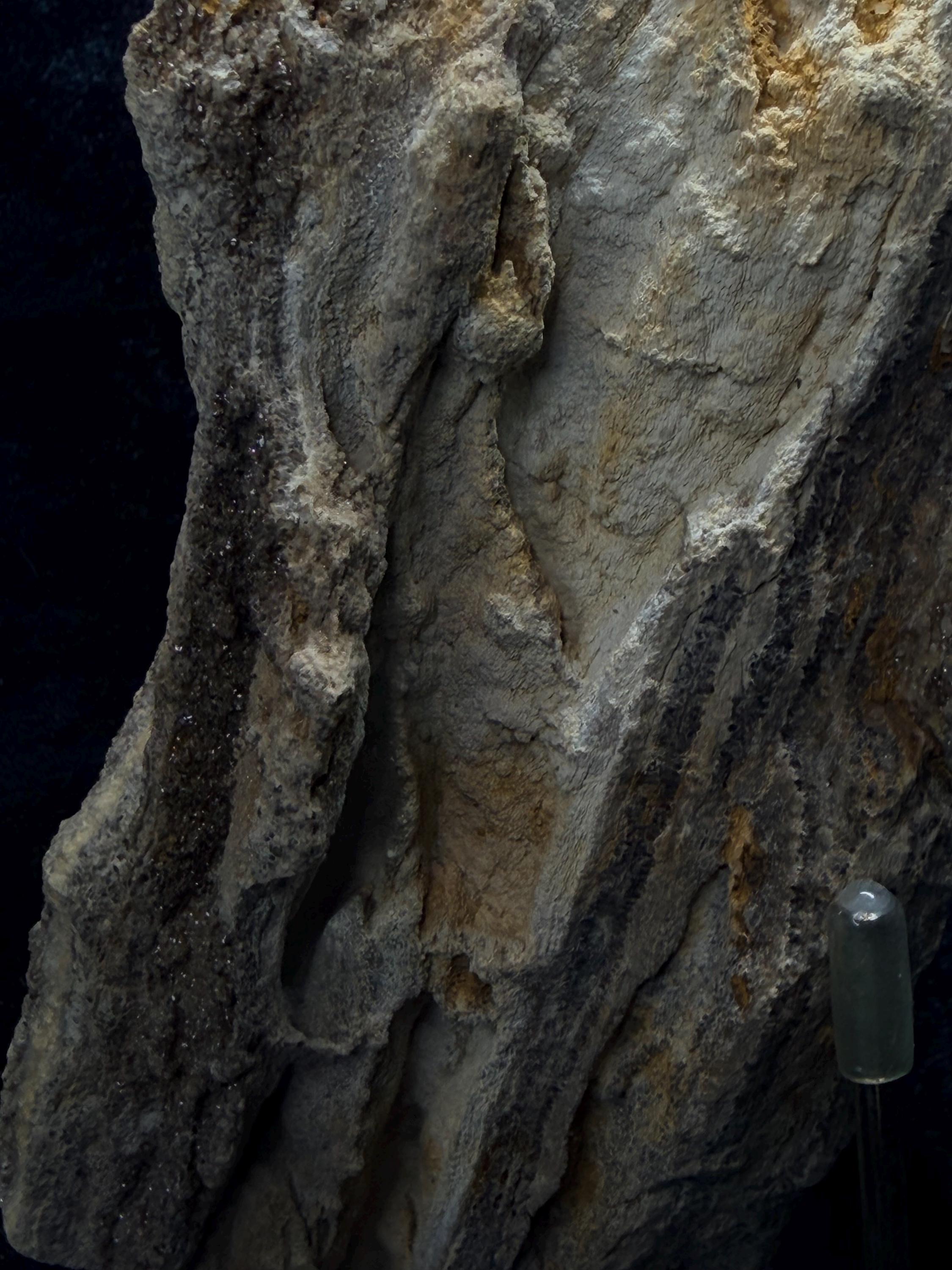 Brilliant Alabama petrified wood with micro druse.