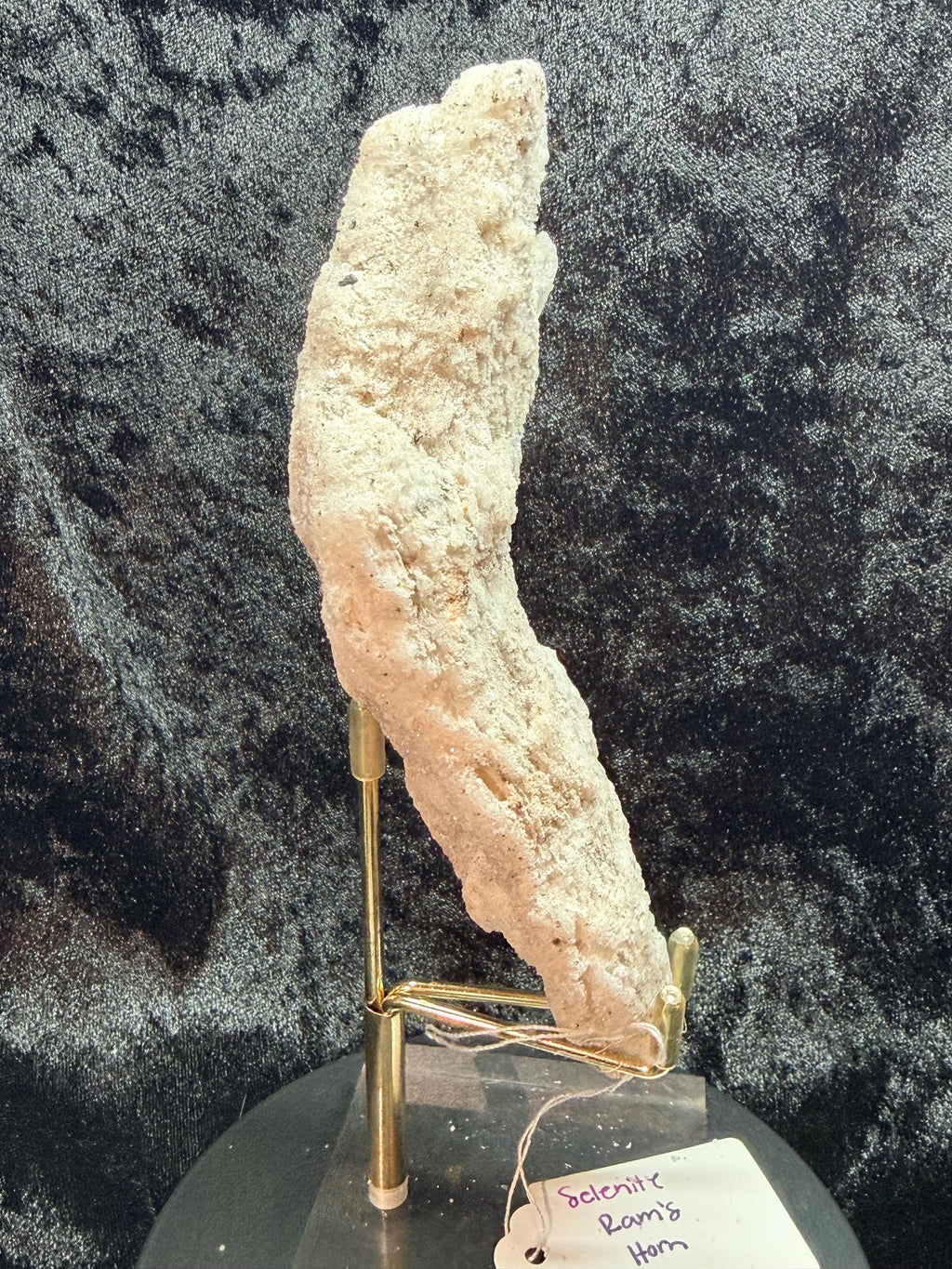Ram’s Horn Selenite, Morocco.