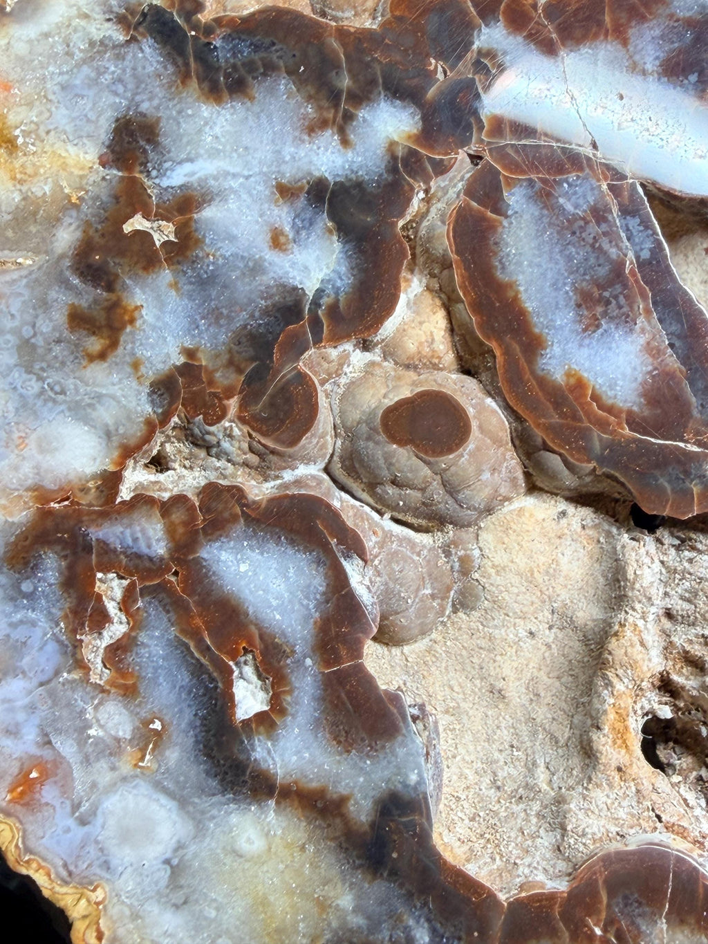 Polished Kentucky agate