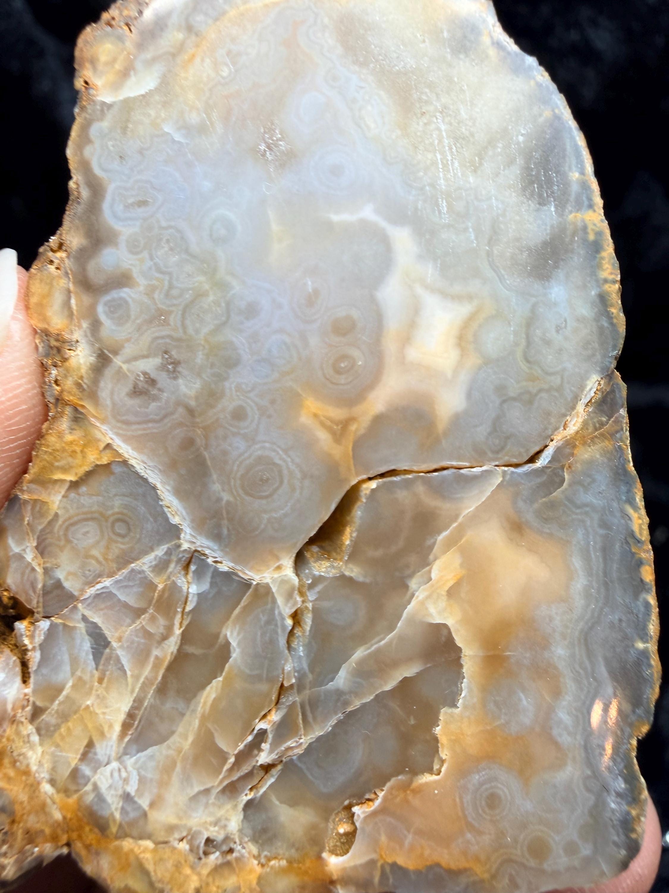 Polished Kentucky agate pair.
