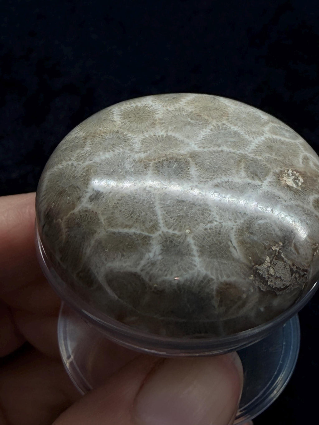 Petoskey stone pop socket