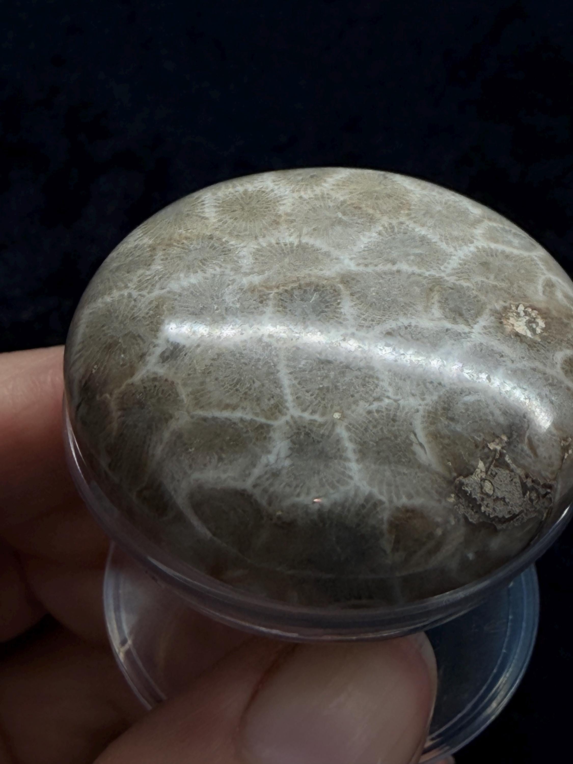 Petoskey stone pop socket