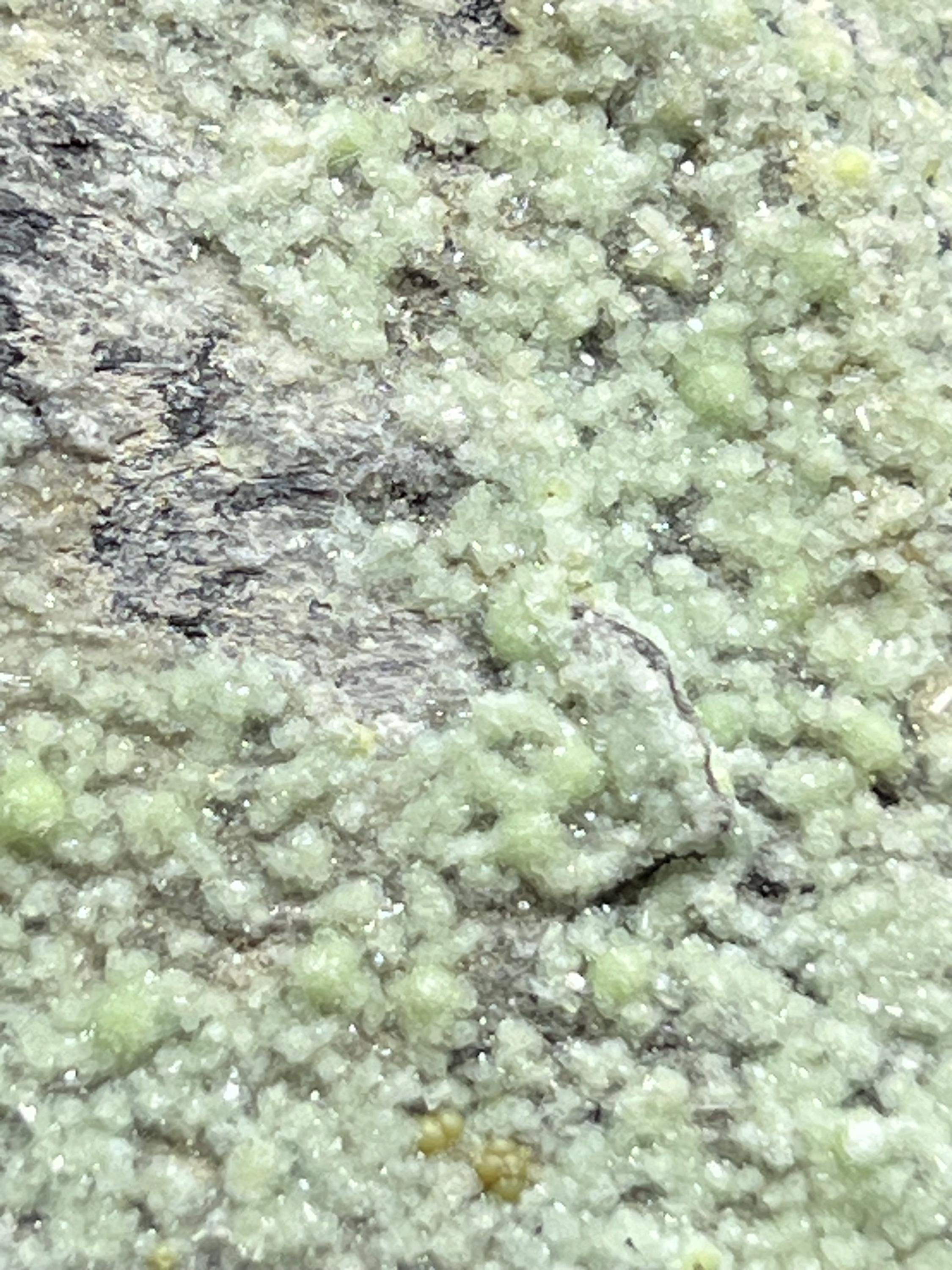Green Wavellite Specimen: Botryoidal Mineral Cluster