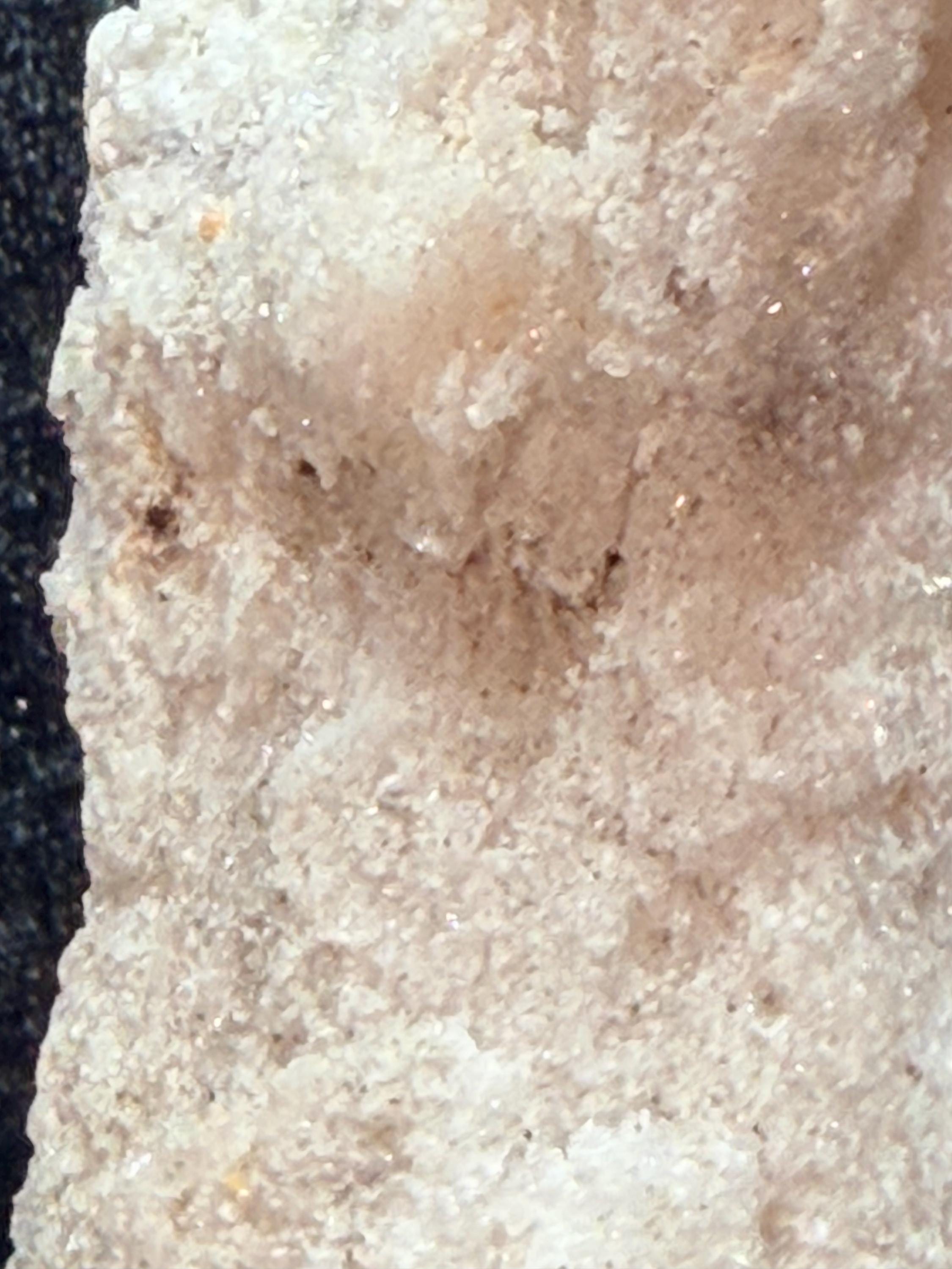 Ram’s Horn Selenite, Morocco.