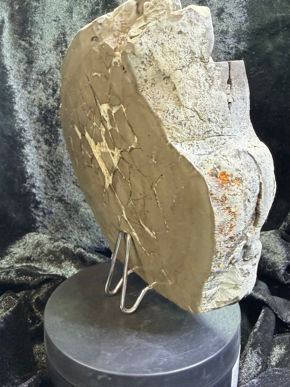 Double-Sided Polished Septarian Slab — Utah, 7.25″