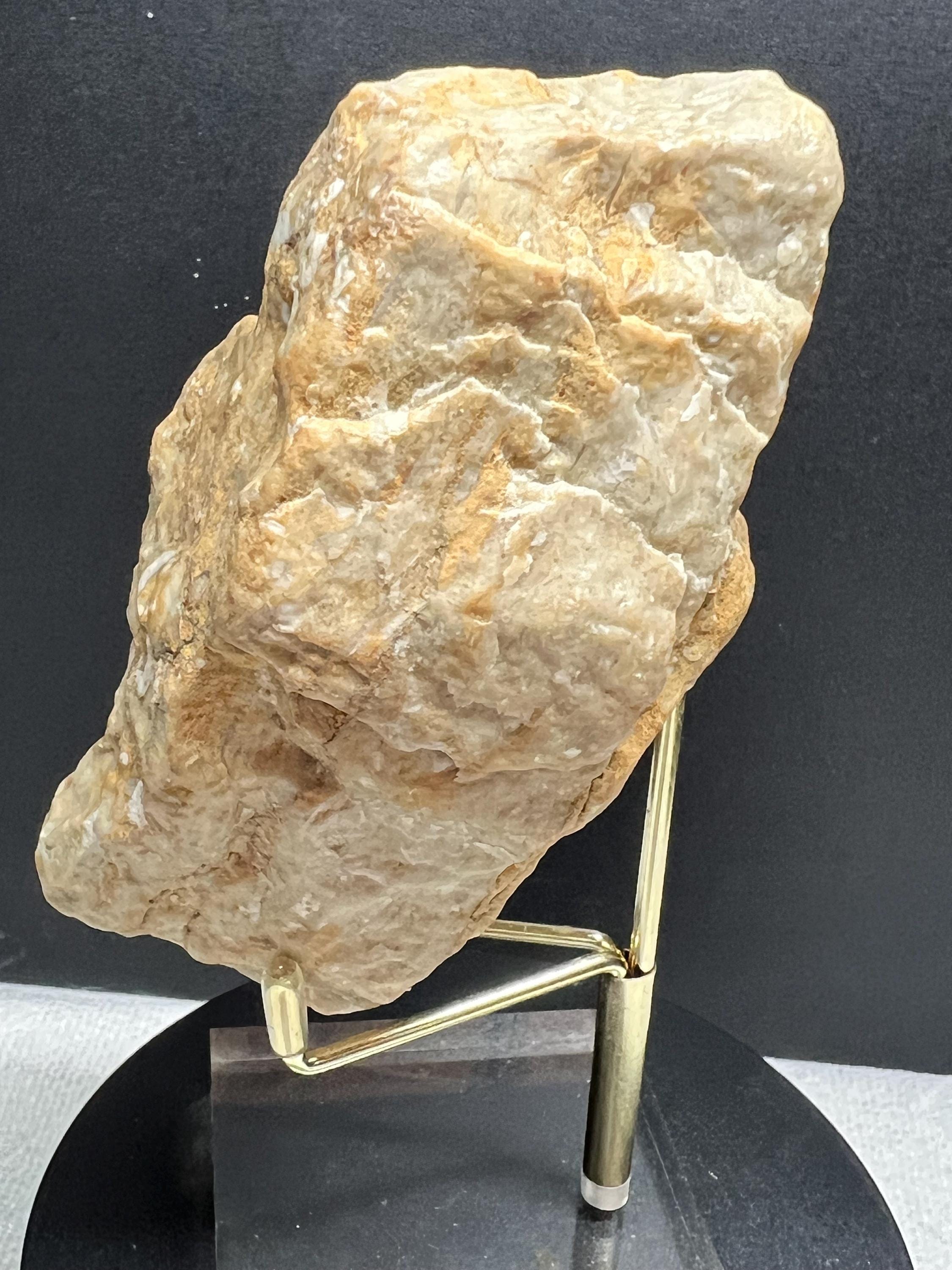 Fossils replaced by calcite in shale from Mississippi River.