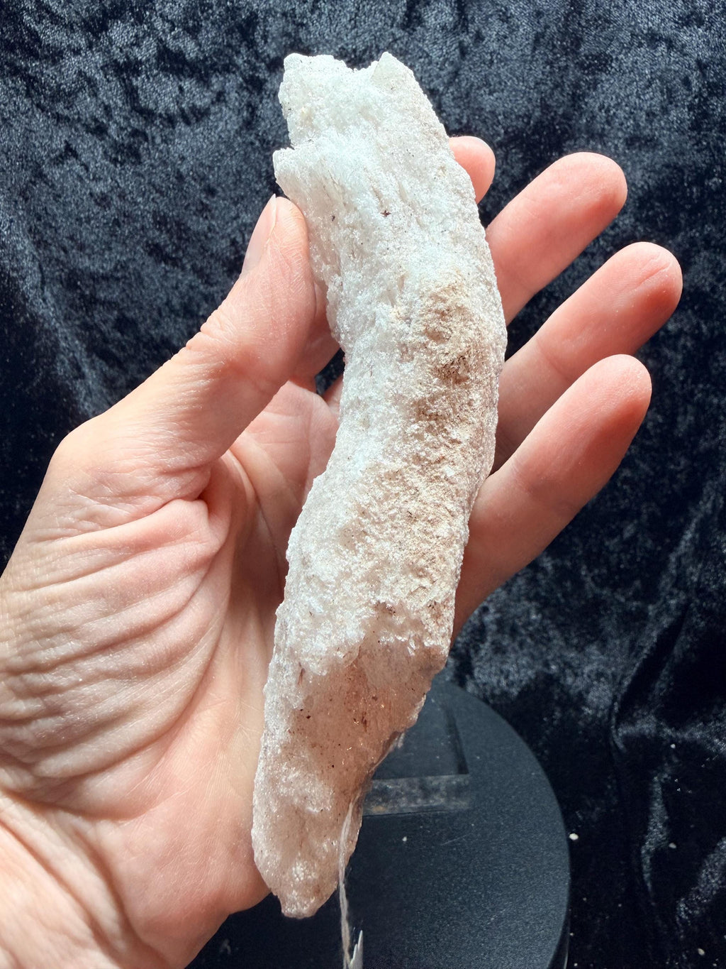 Ram’s Horn Selenite, Morocco.