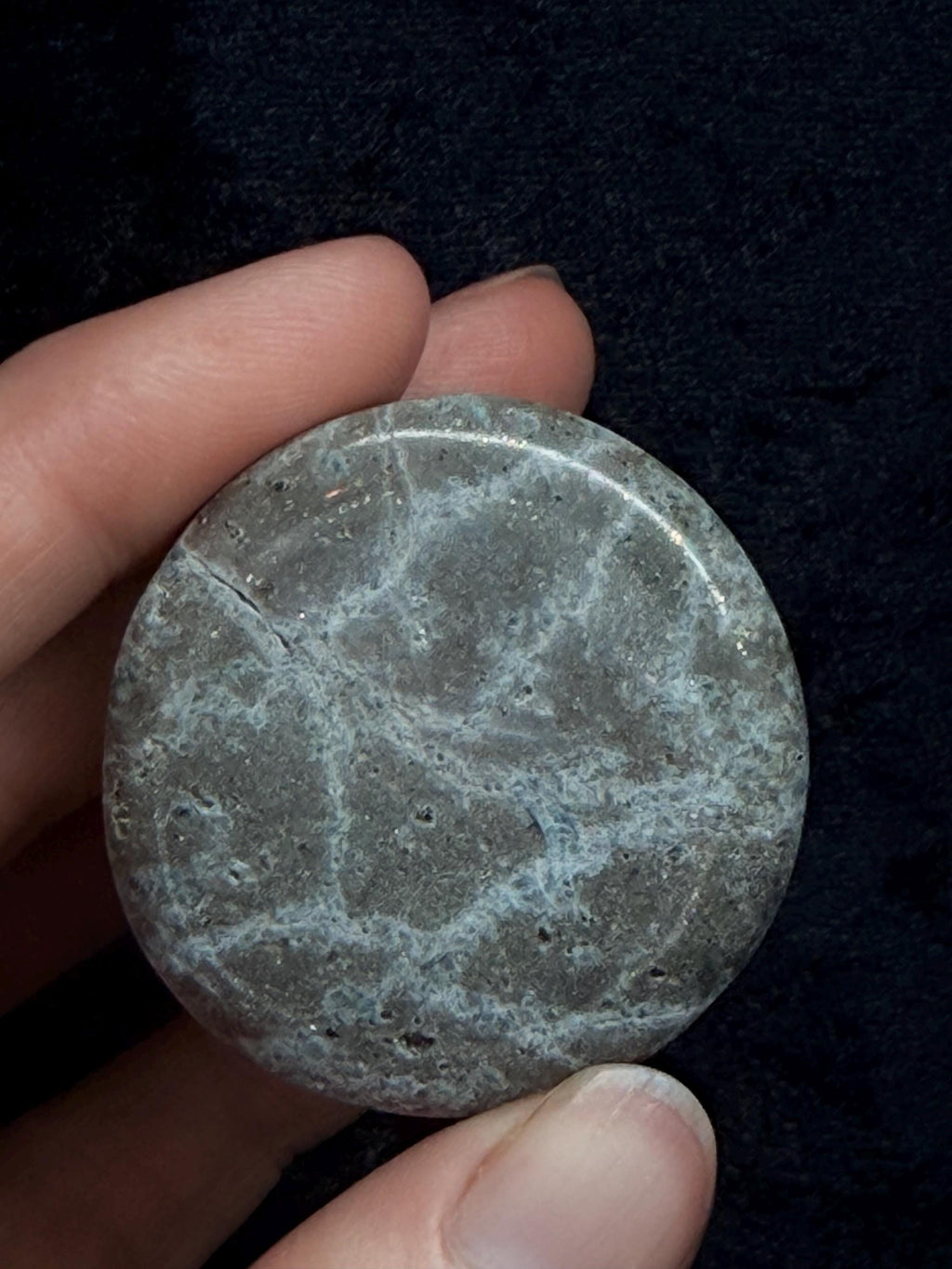 Blue Kyanite with Pyrite pop socket