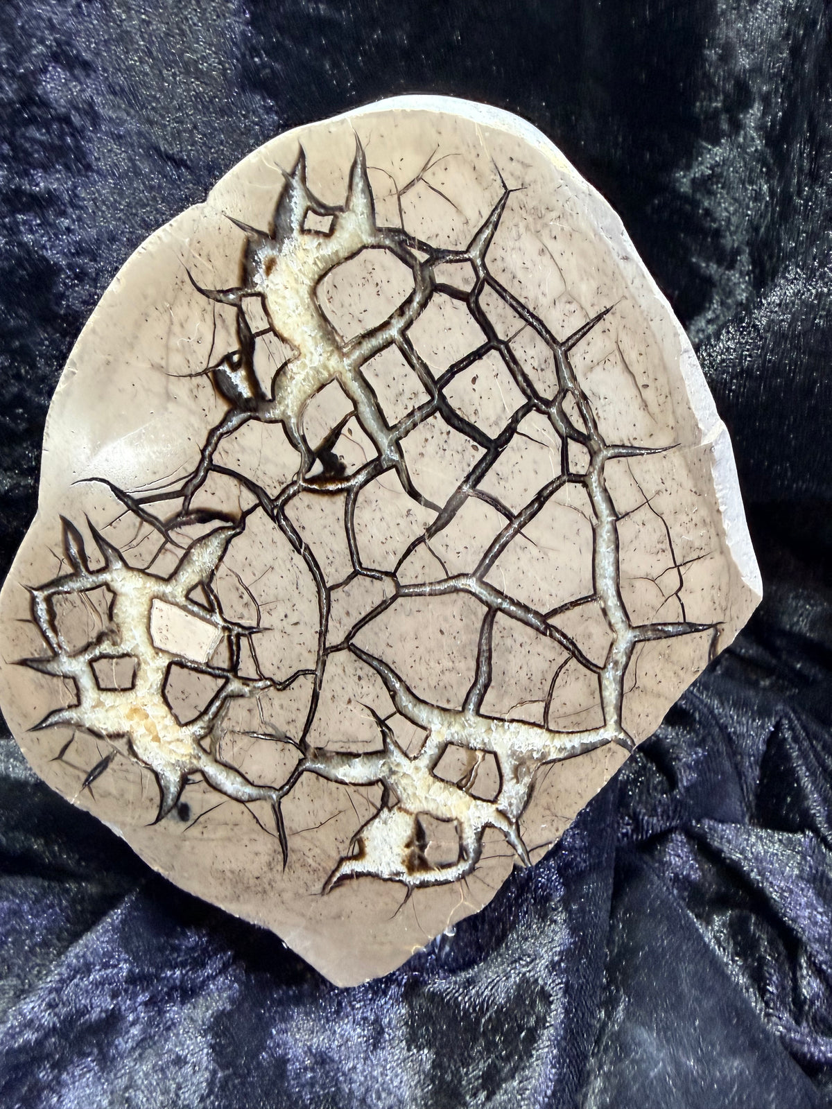 Polished Utah Septarian Nodule Matching Pair - 6.5" Cut Interlocking "Dragon Egg" Display Set (Repaired)