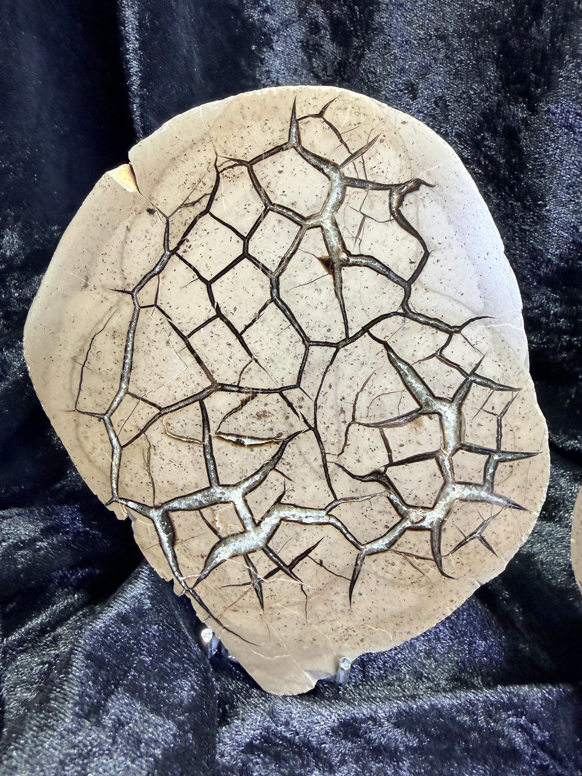Polished Utah Septarian Nodule Matching Pair - 6.5" Cut Interlocking "Dragon Egg" Display Set (Repaired)