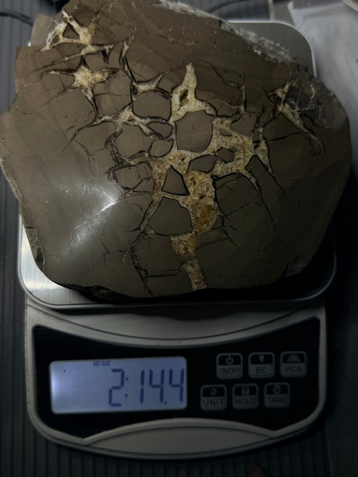 Double-Sided Polished Septarian Slab — Utah, 7.25″