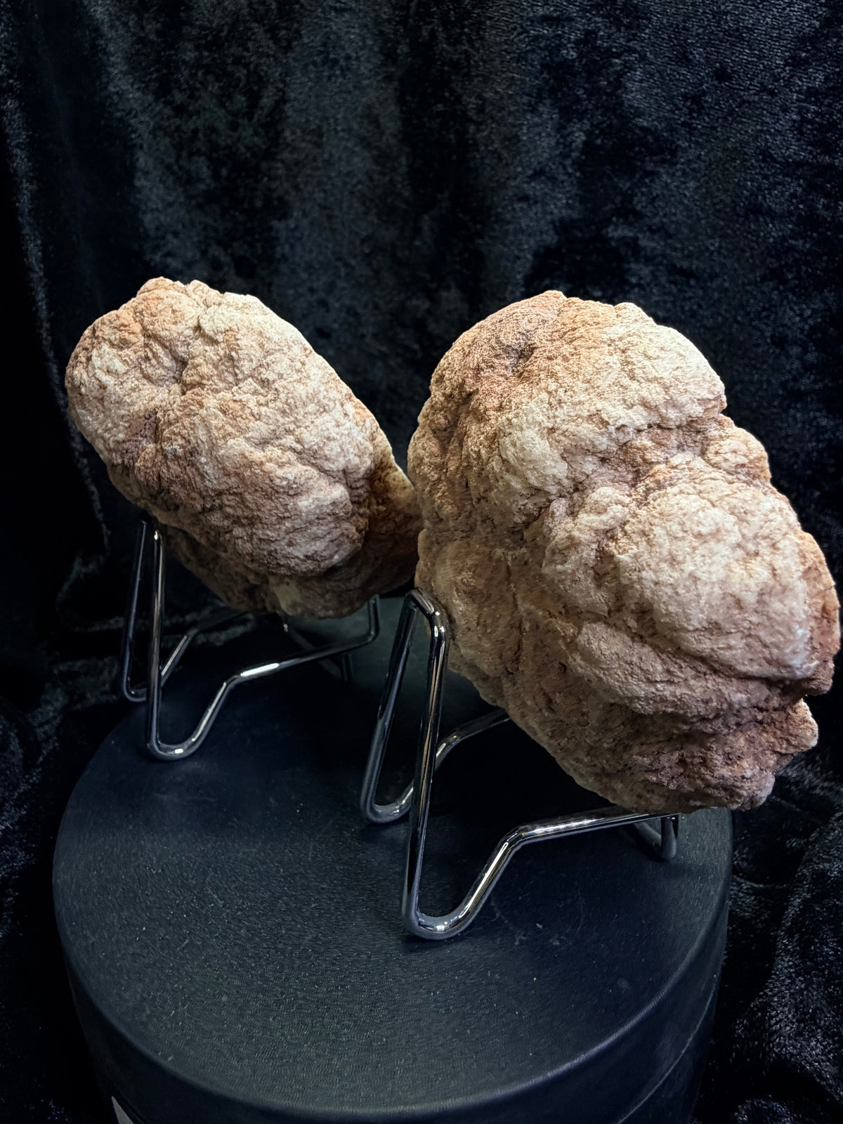 Raw Argentine Pink Amethyst Geode Matching Pair - 3.5" Natural Quartz Druzy Display Set with Stands