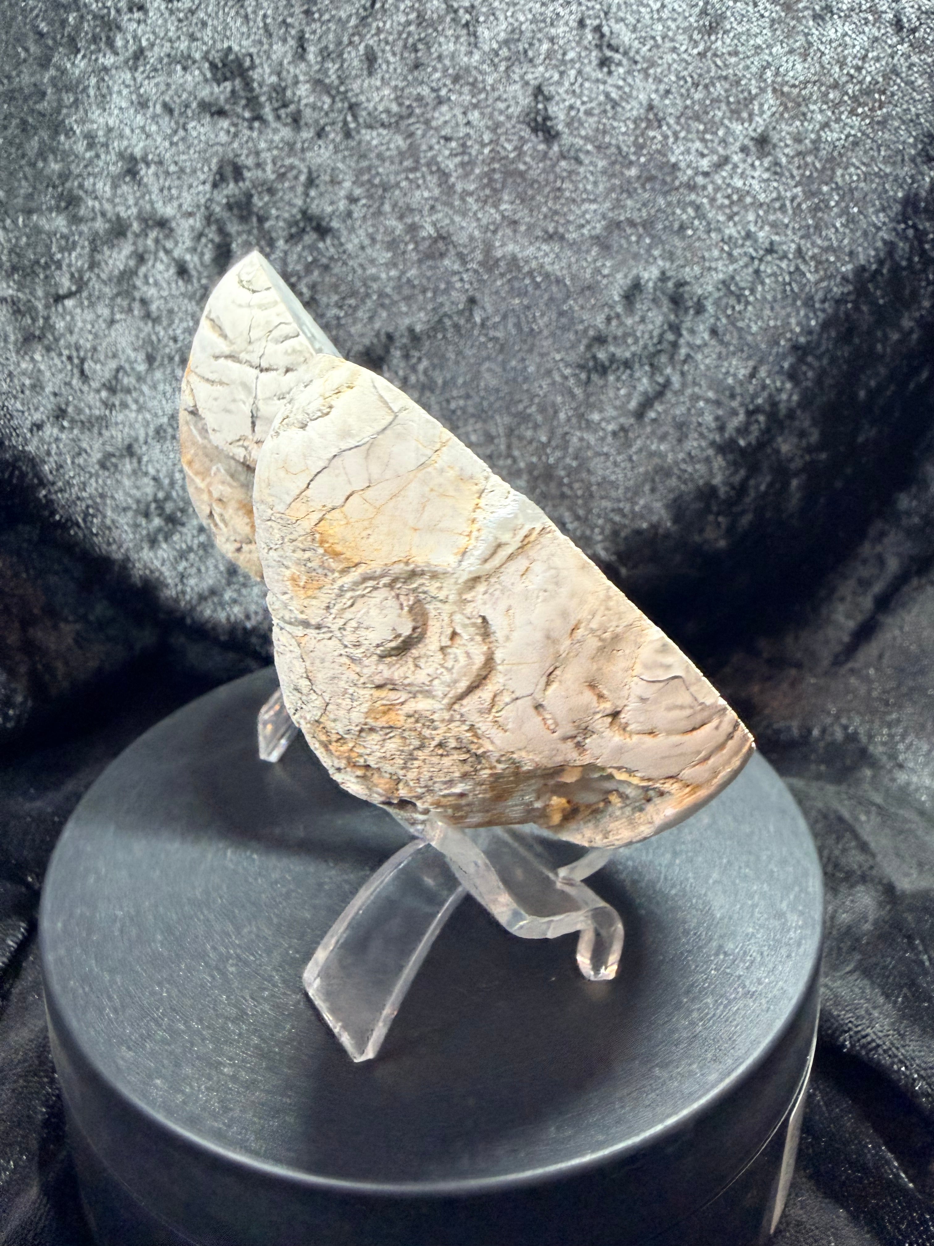 UV-Reactive Trancas Geode Matched Pair