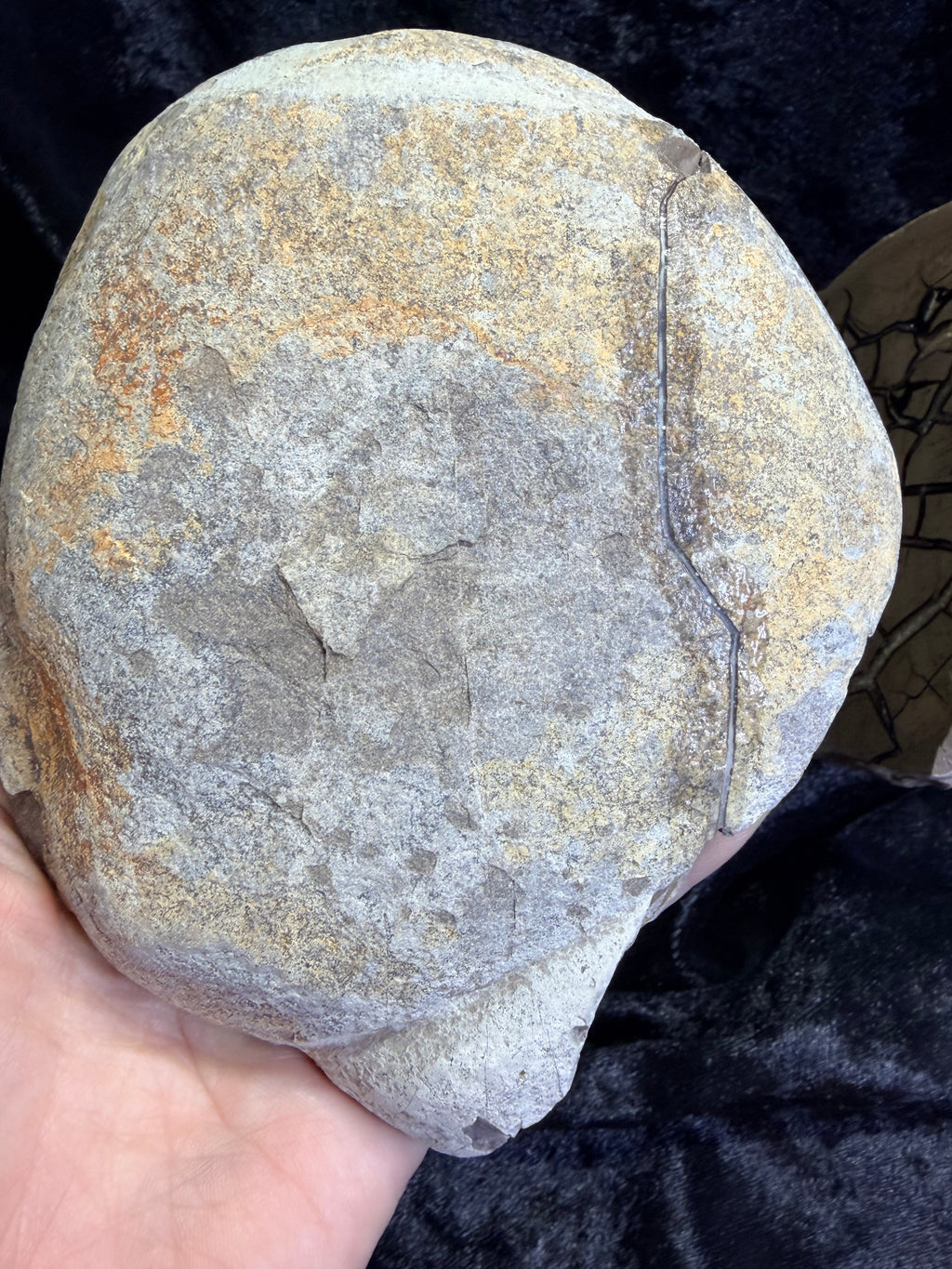 Polished Utah Septarian Nodule Matching Pair - 6.5" Cut Interlocking "Dragon Egg" Display Set (Repaired)