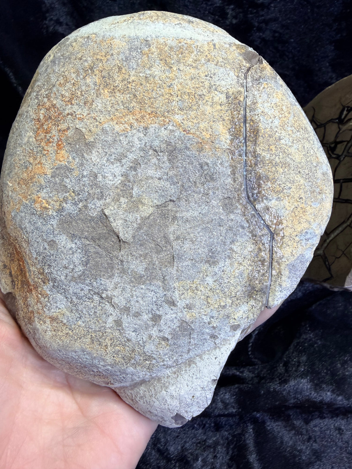 Polished Utah Septarian Nodule Matching Pair - 6.5" Cut Interlocking "Dragon Egg" Display Set (Repaired)