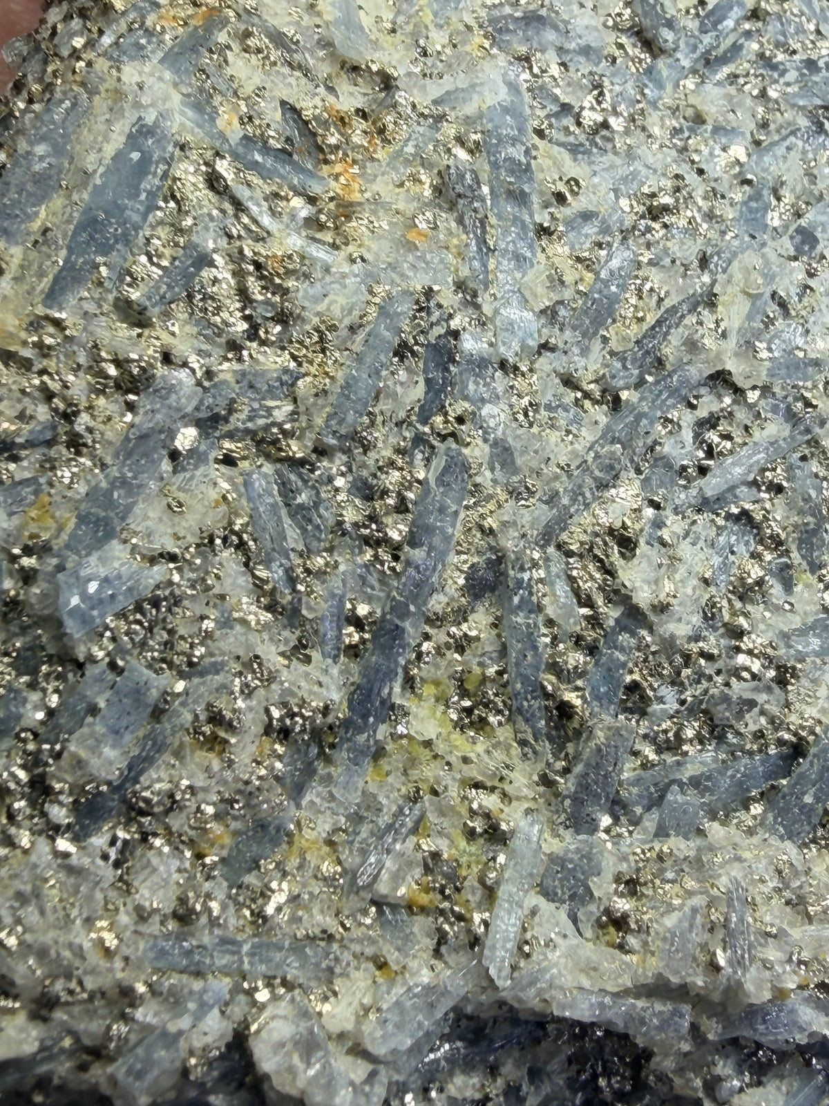 Massive 8.5" Blue Kyanite & Pyrite Cabinet Specimen - Raw Willis Mountain, VA Mineral Display (3.3 lbs)