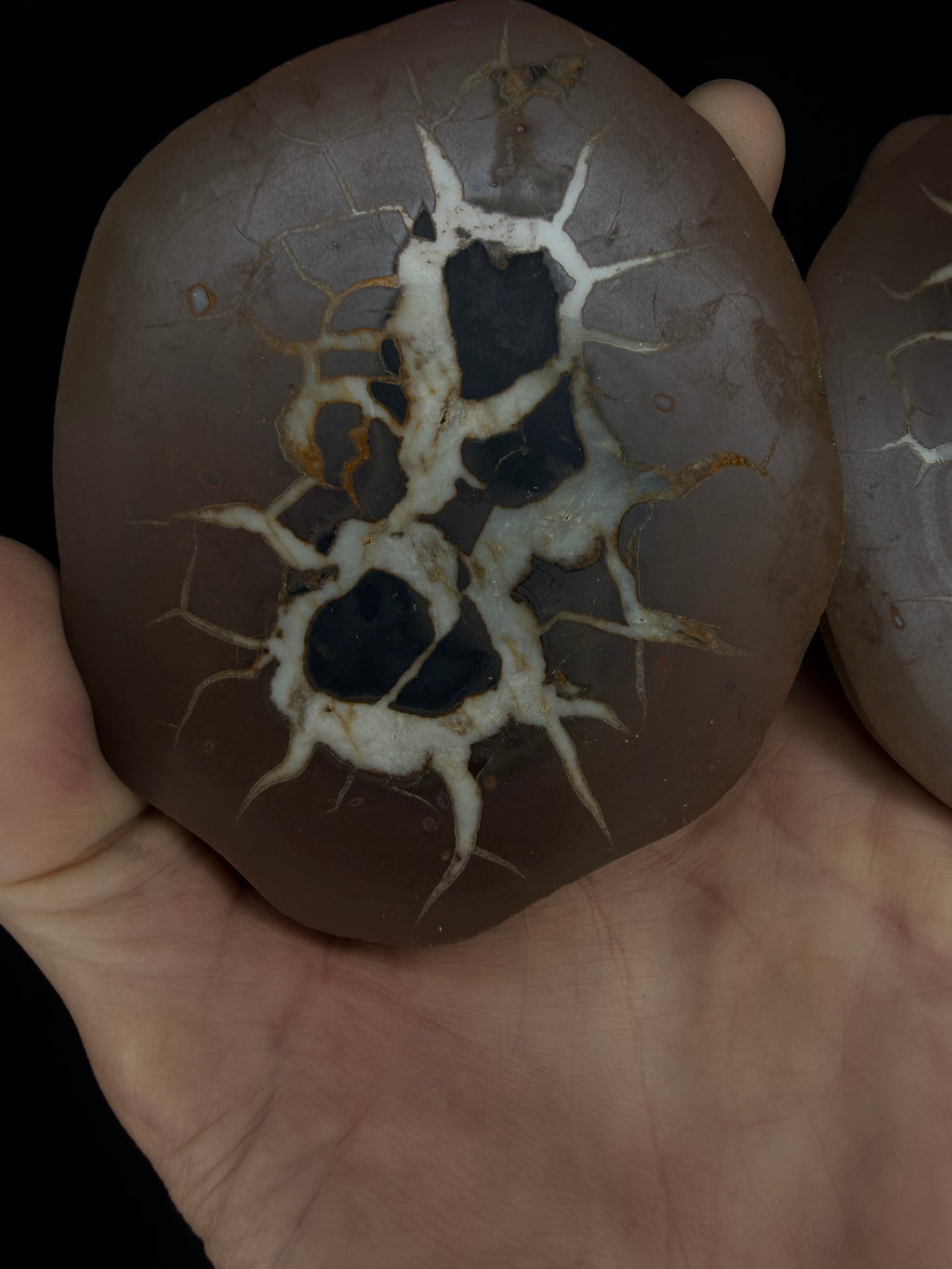 Moroccan Septarian nodule, a.k.a. lightning stone