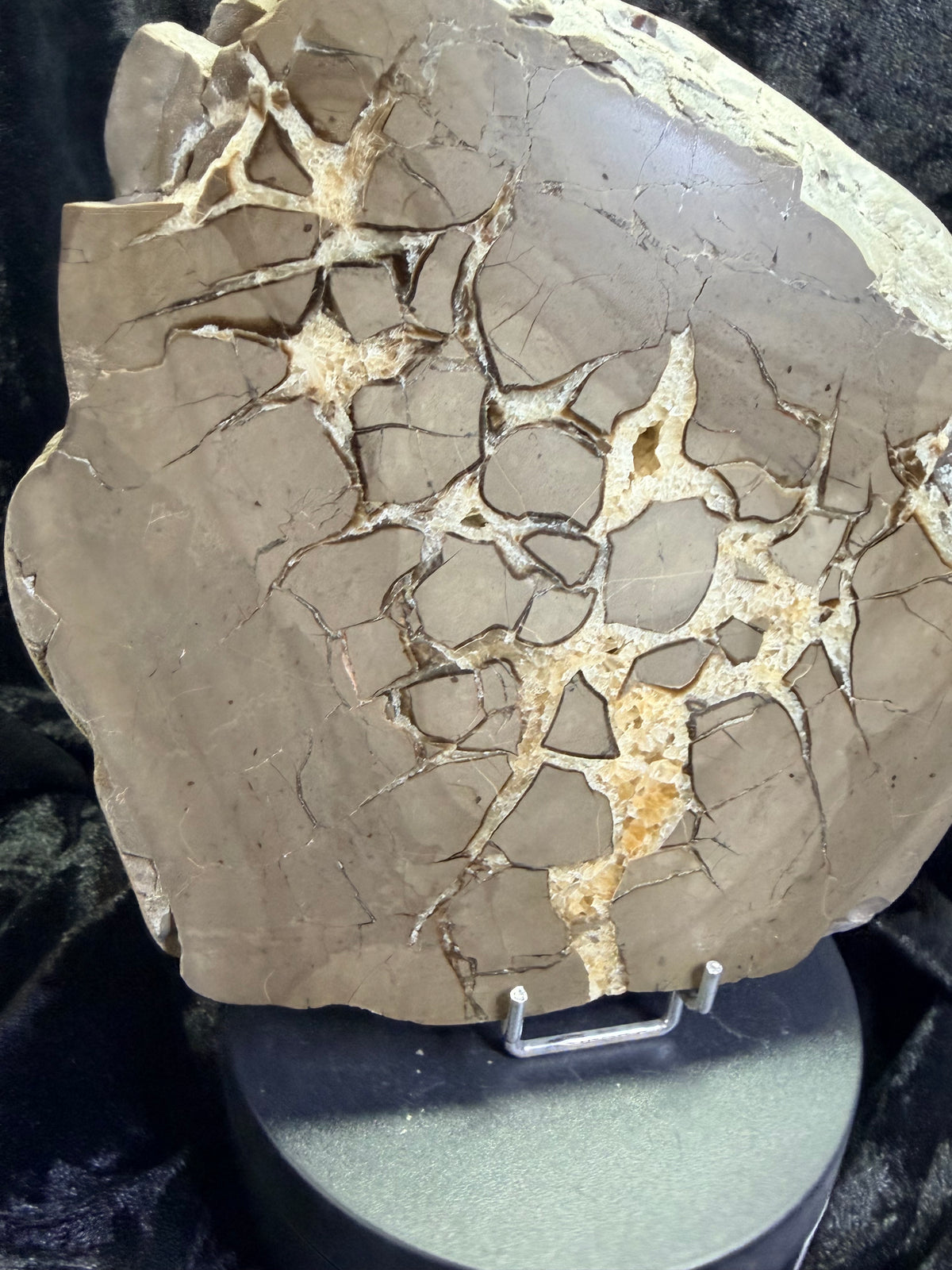 Double-Sided Polished Septarian Slab — Utah, 7.25″