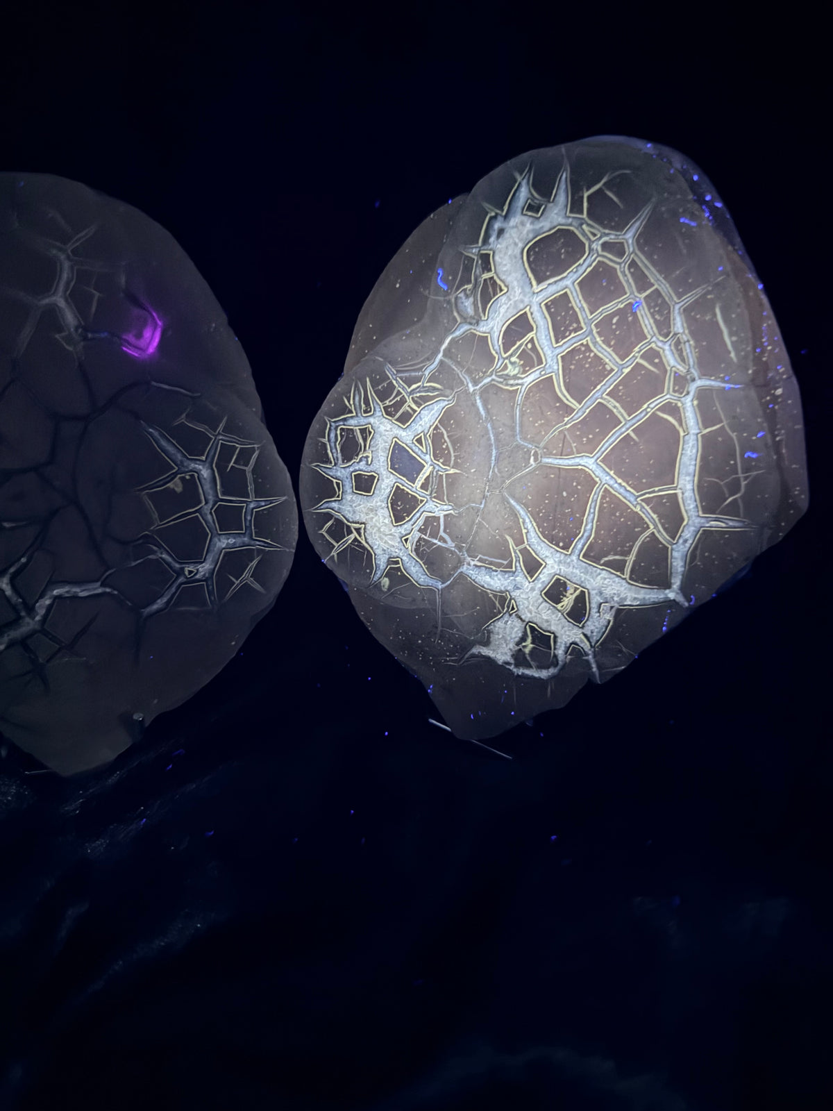 Polished Utah Septarian Nodule Matching Pair - 6.5" Cut Interlocking "Dragon Egg" Display Set (Repaired)
