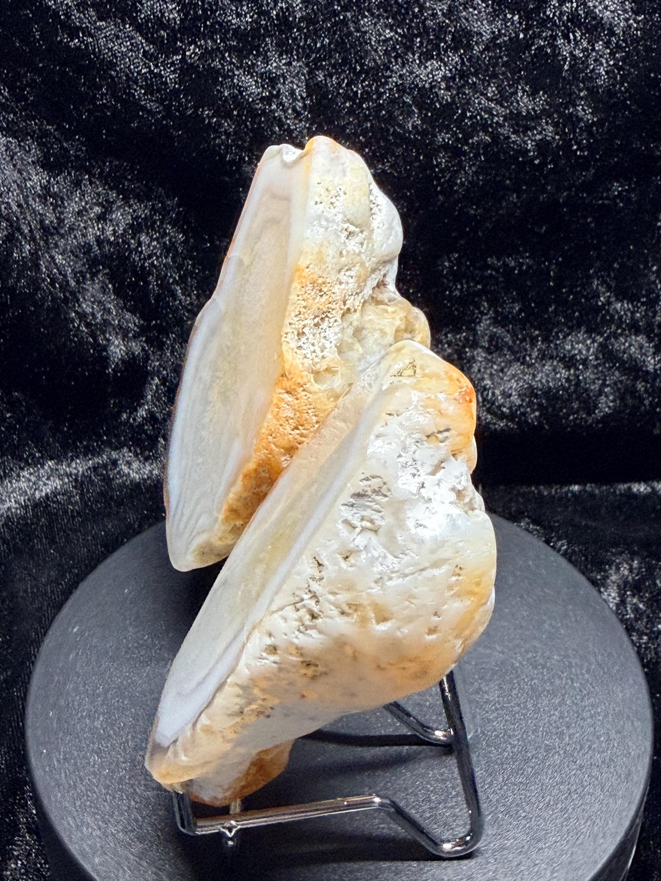 Polished White Agate, matching halves