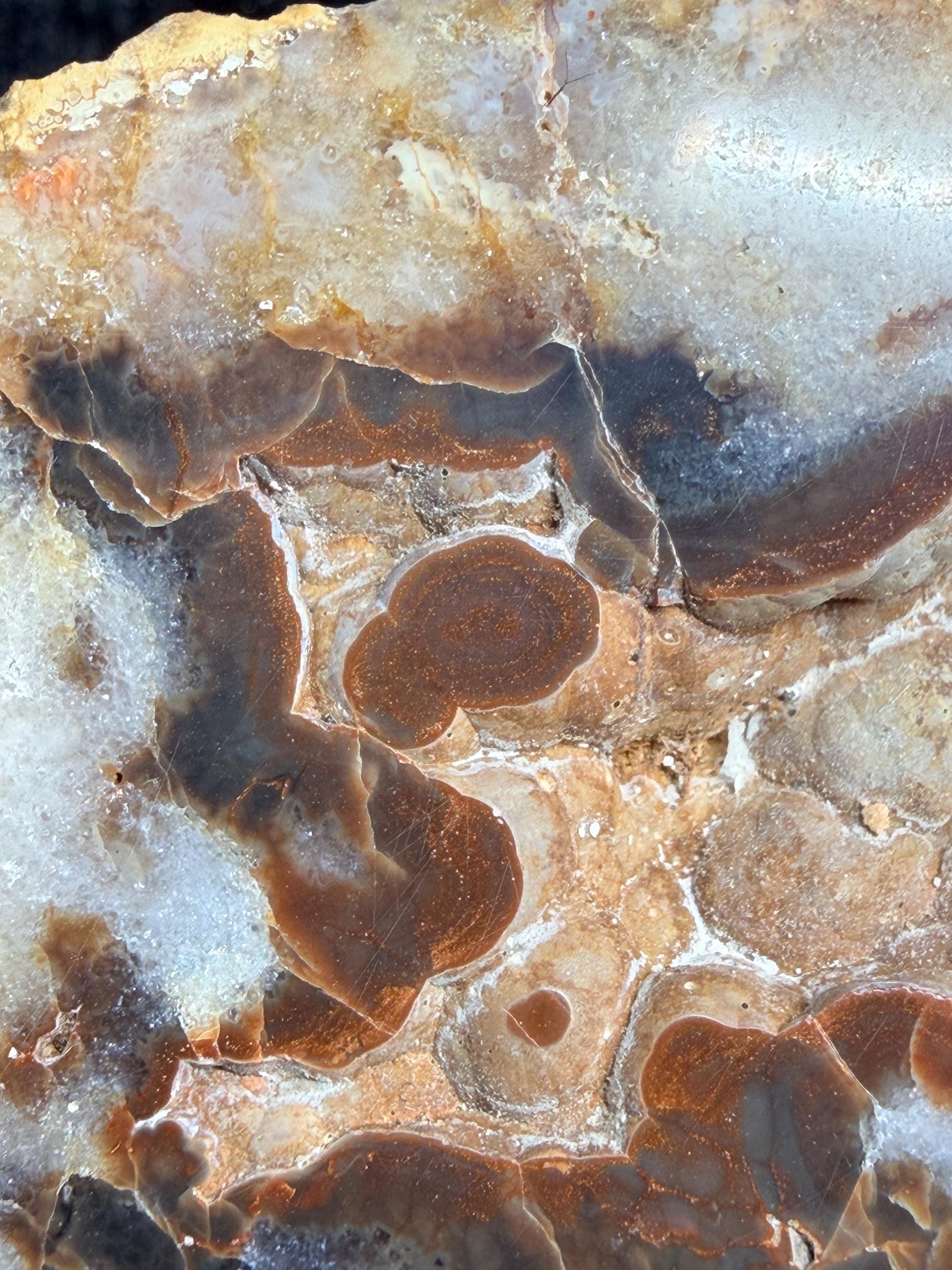 Polished Kentucky agate