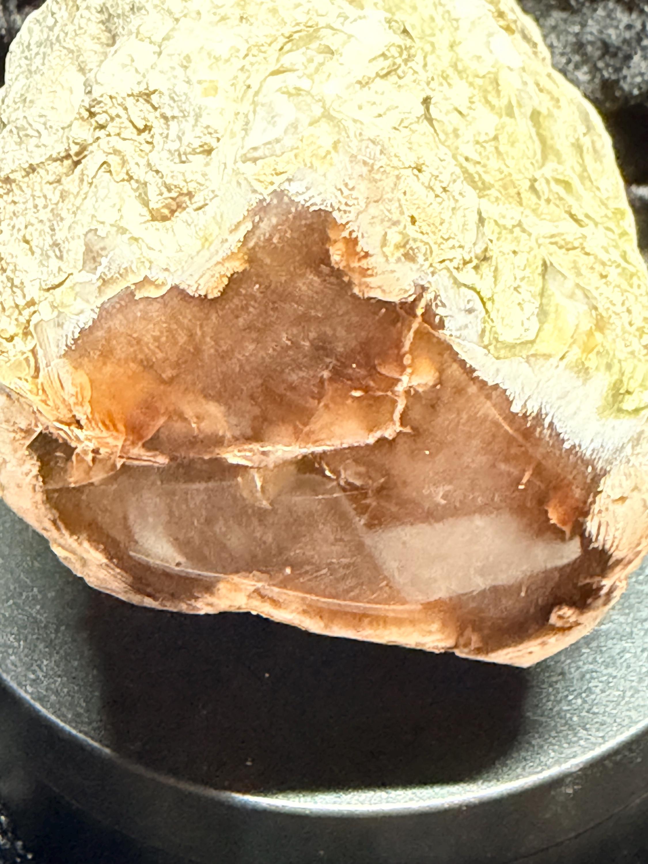 Polished Petrified wood with natural raw sides