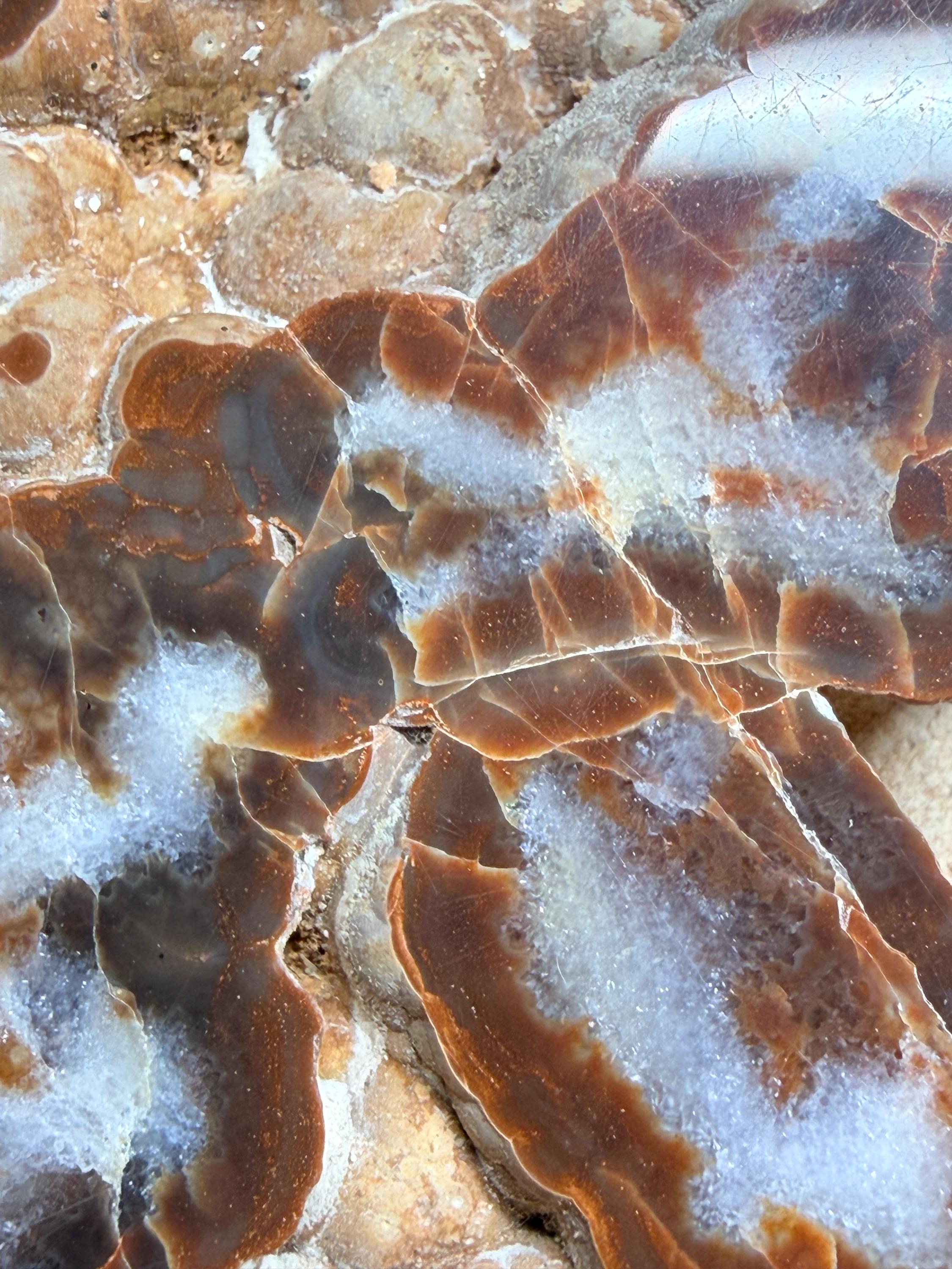 Polished Kentucky agate