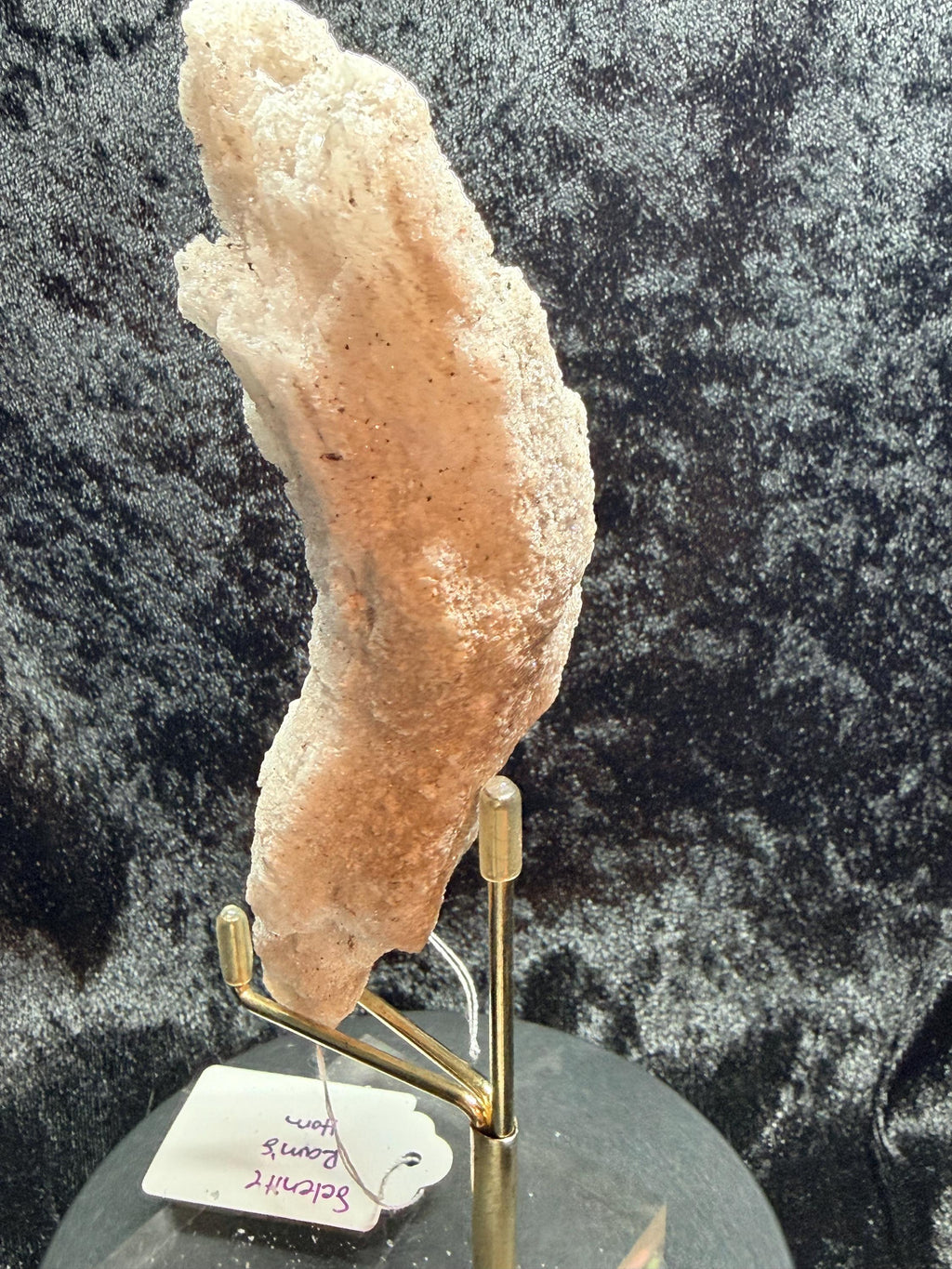 Ram’s Horn Selenite, Morocco.