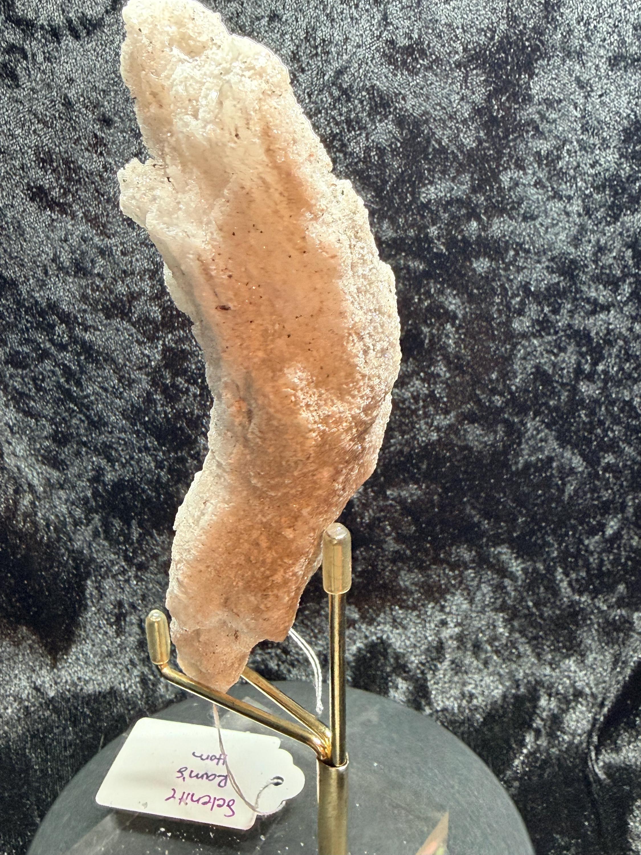 Ram’s Horn Selenite, Morocco.