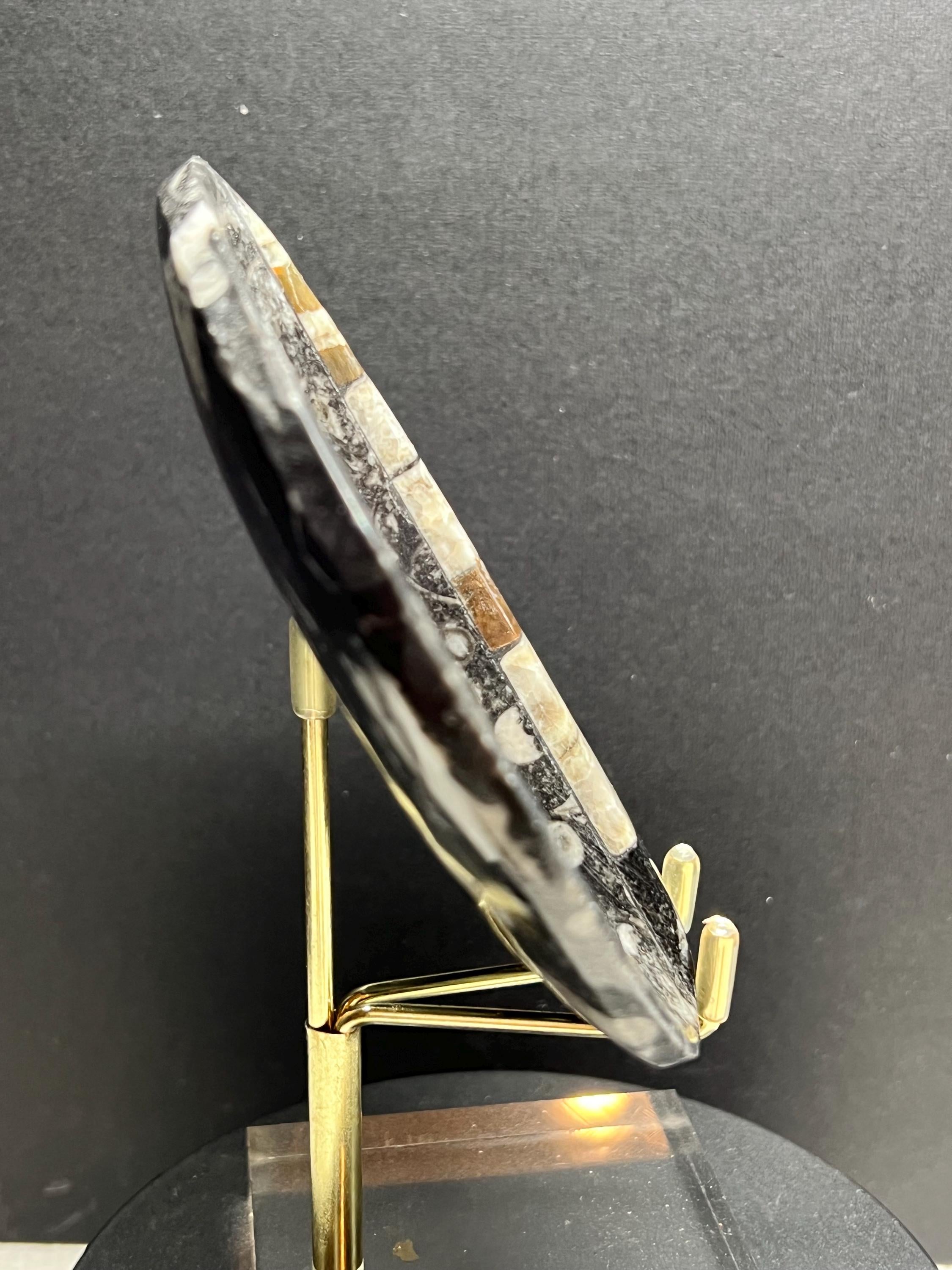Orthoceras 4” dish.
