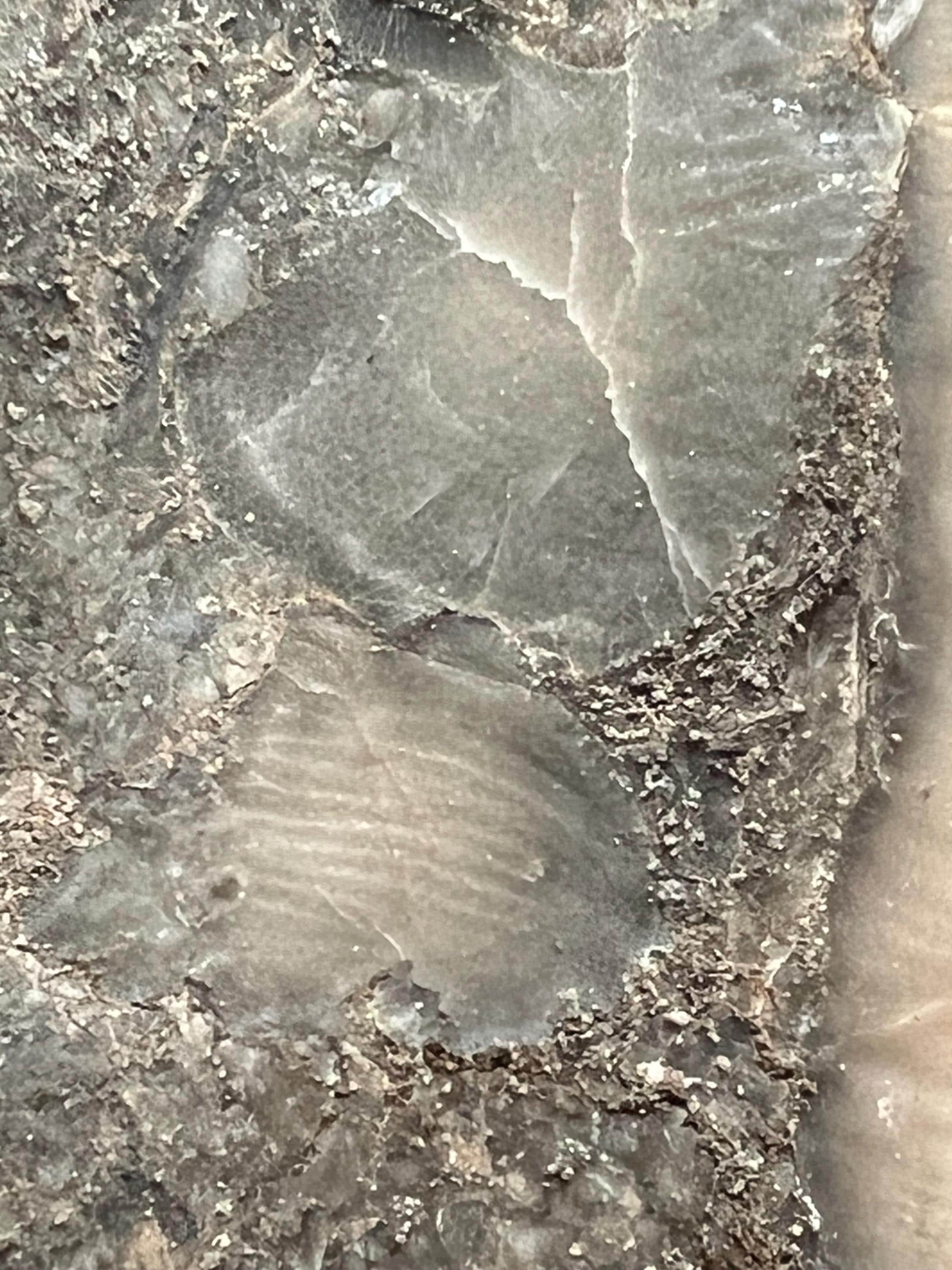 Fossils replaced by calcite in shale from Kentucky.