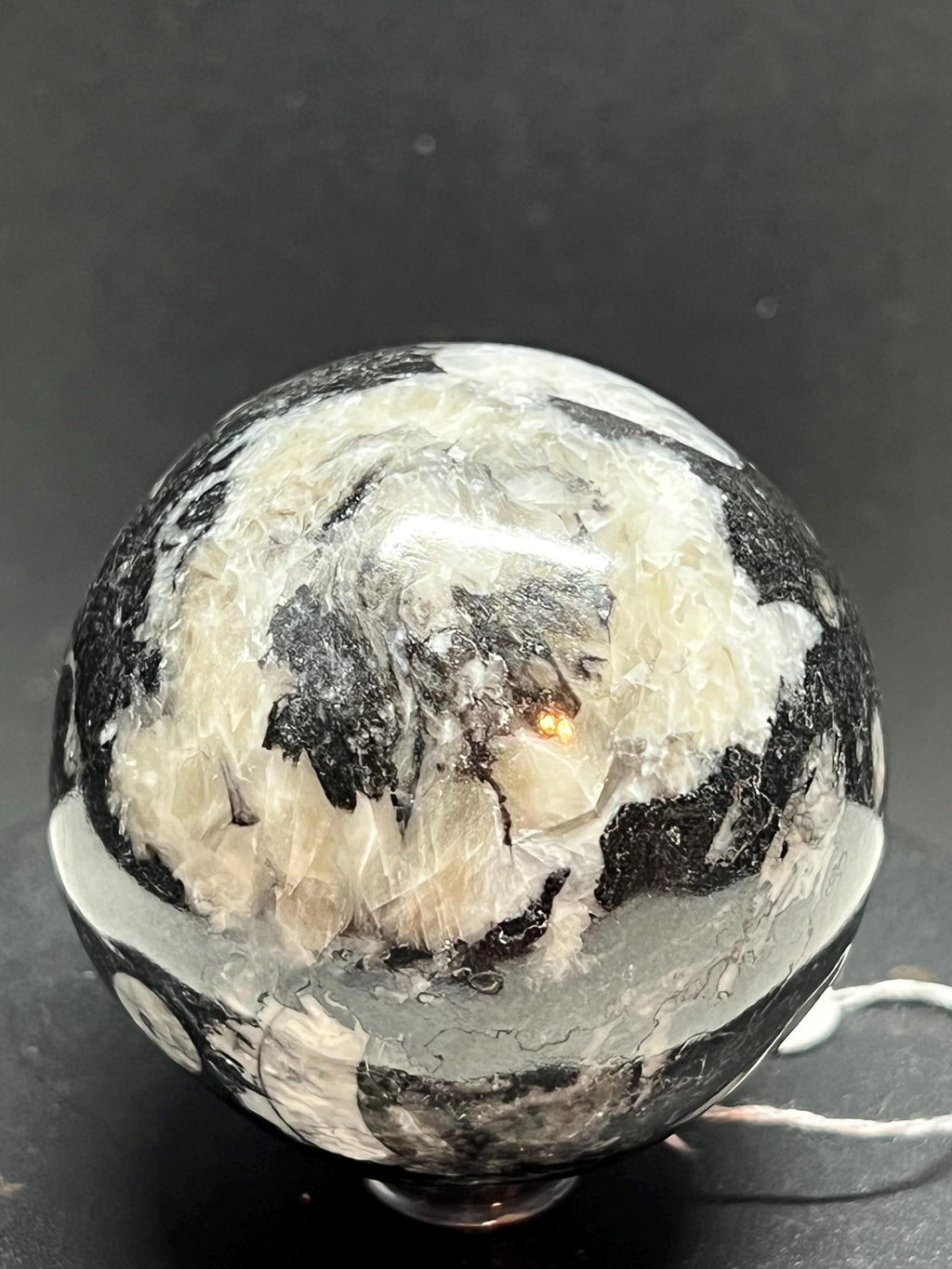 Orthoceras Fossil Sphere, Polished Limestone Display Specimen