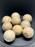 9 Fossil stone mini spheres