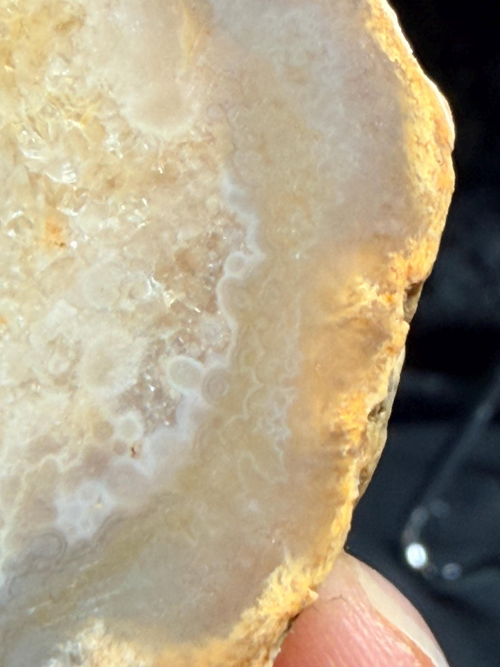 Polished Kentucky Agate / Chalcedony Nodule Pair – Druzy Quartz Cavities
