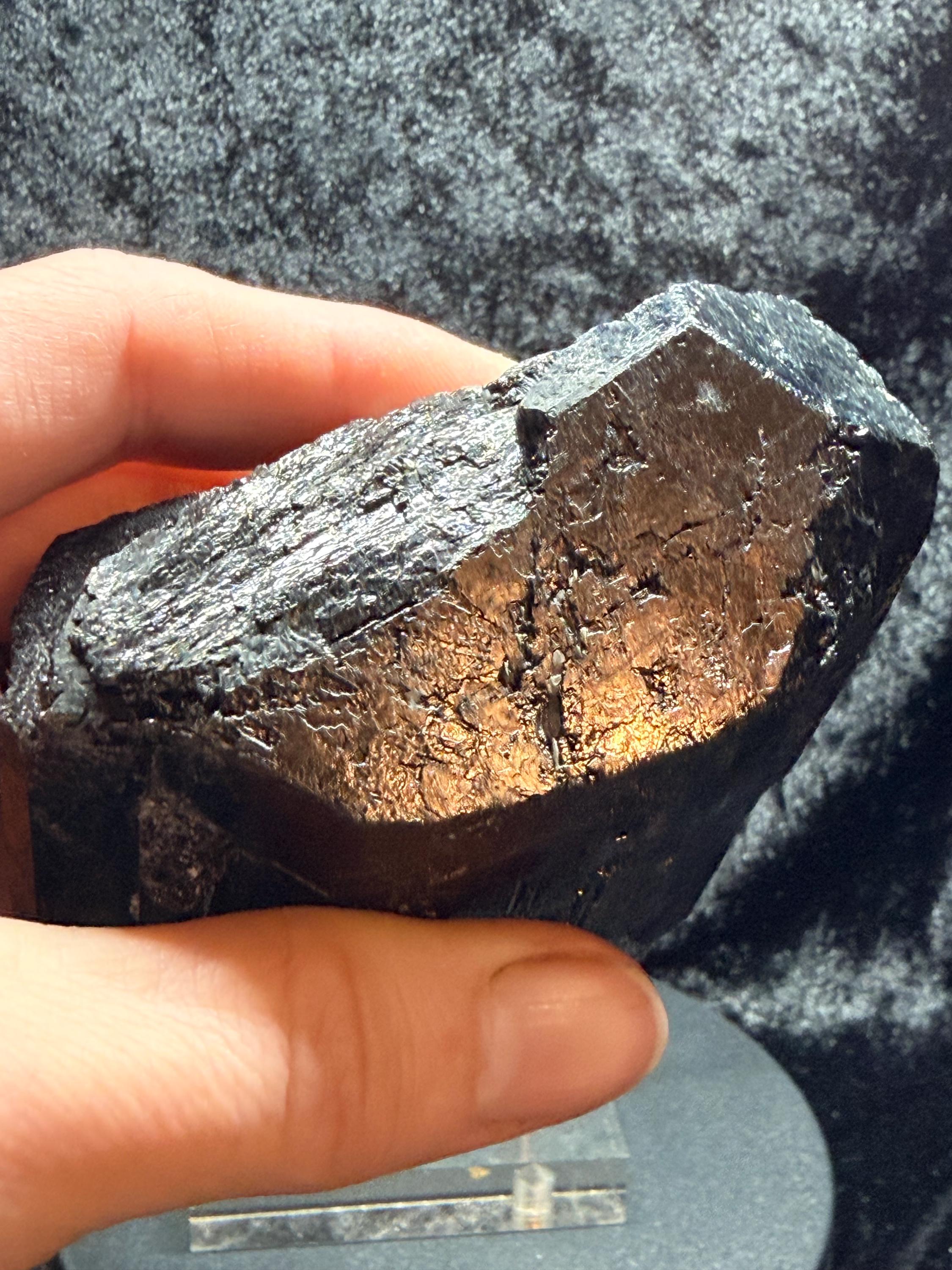 Terminated Black Tourmaline with quartz from Brazil